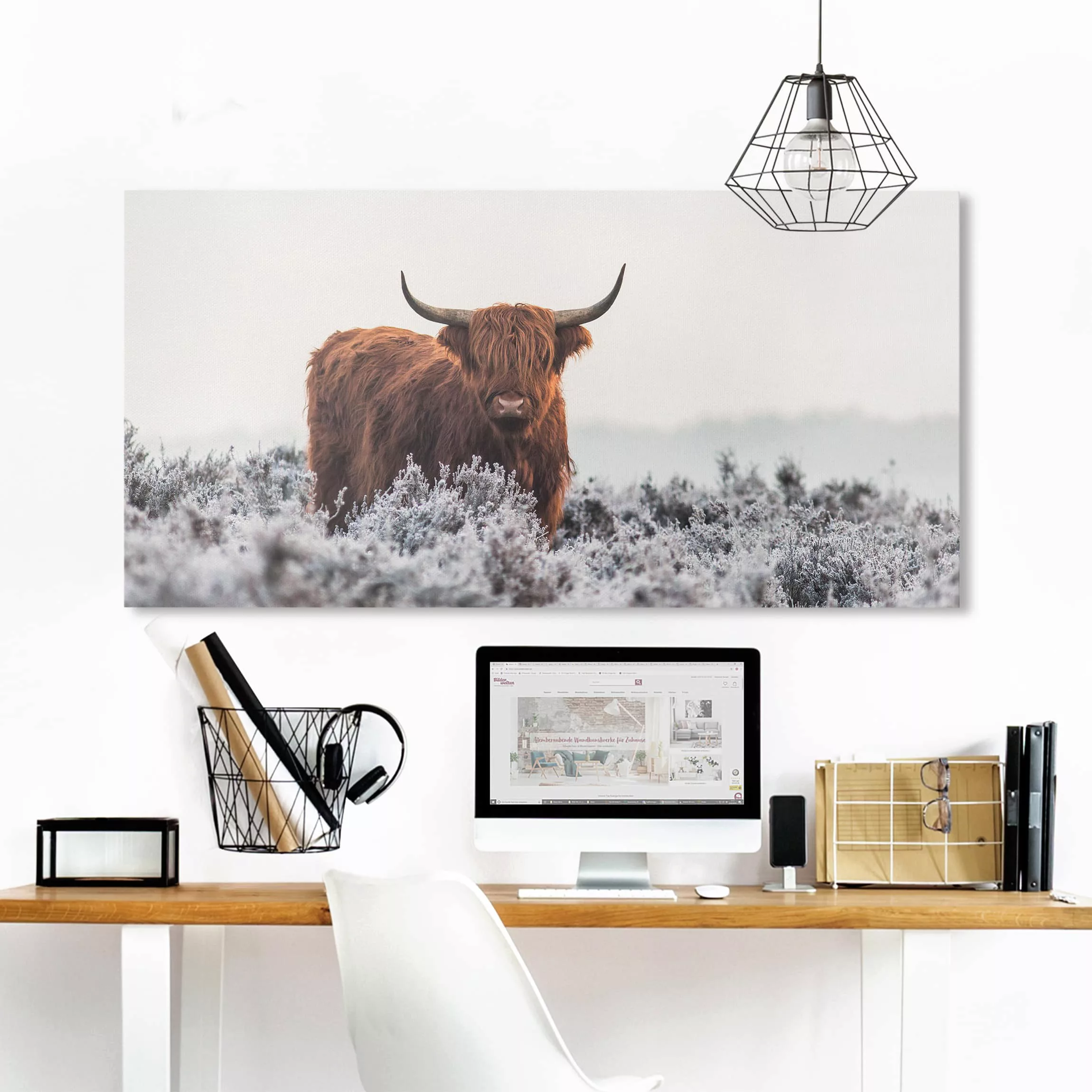 Leinwandbild Tiere - Querformat Bison in den Highlands günstig online kaufen