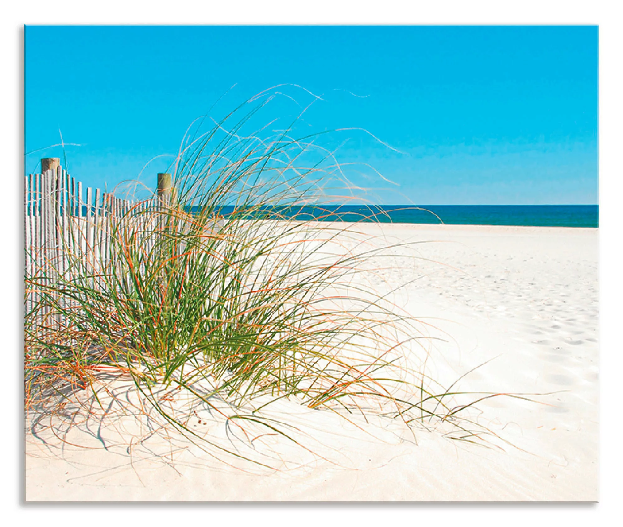 Artland Küchenrückwand "Schöne Sanddüne mit Gräsern und Zaun", (1 tlg.), Al günstig online kaufen