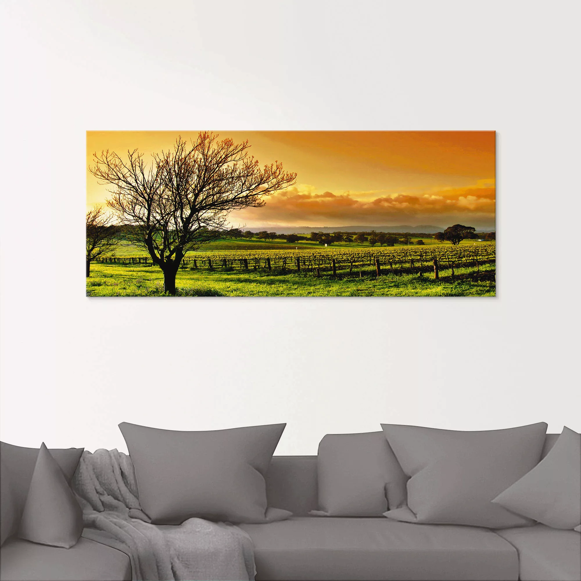 Artland Glasbild "Landschaft mit Weinbergen", Felder, (3 St.) günstig online kaufen