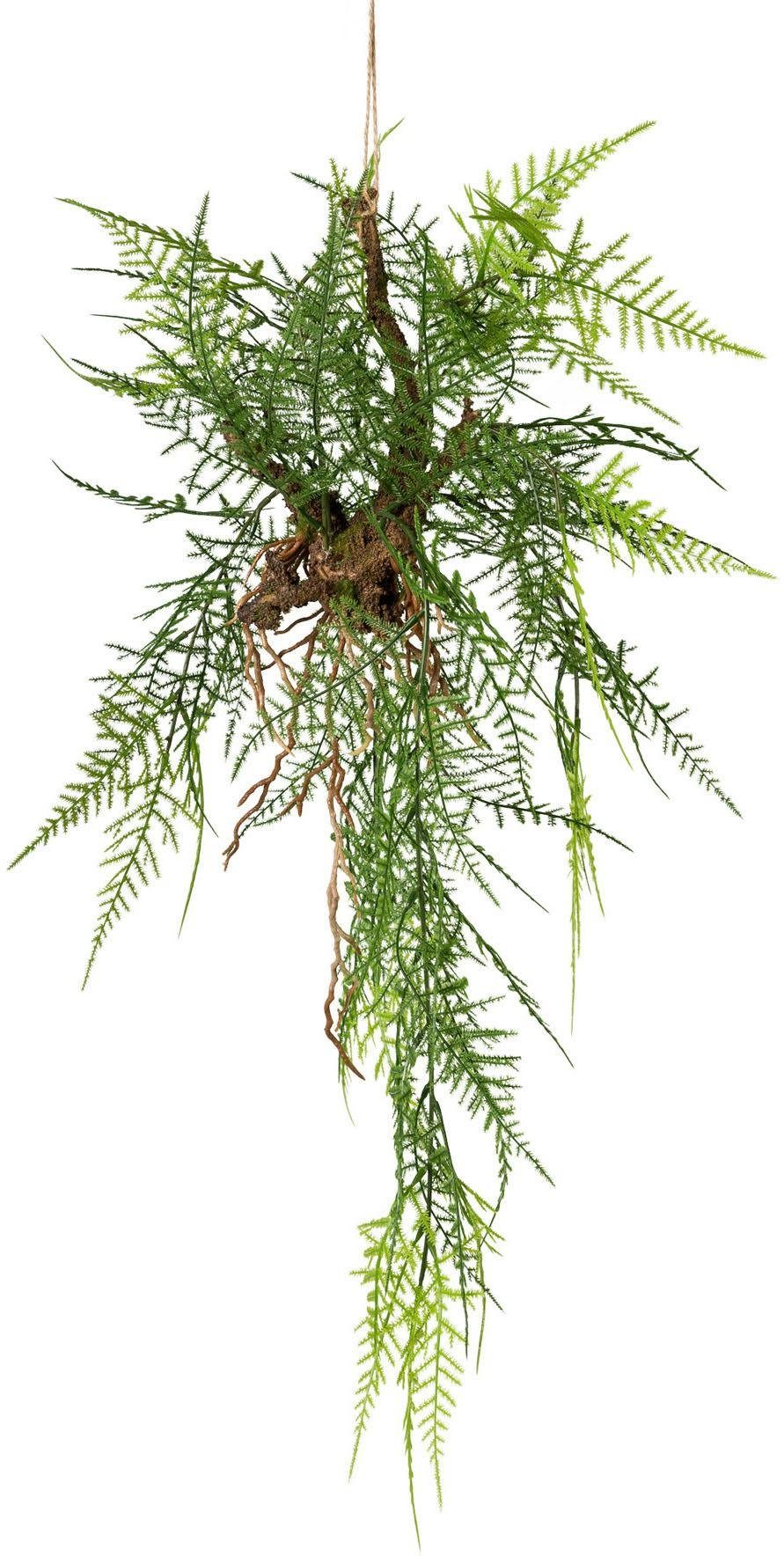 Kunstranke, Creativ green, Höhe 70 cm günstig online kaufen