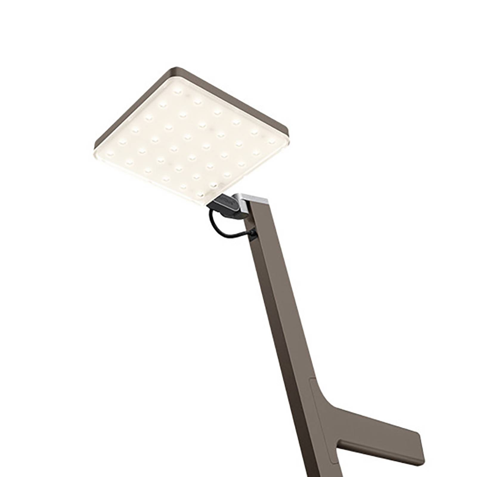 Nimbus Roxxane Leggera LED-Stehlampe, dark bronze günstig online kaufen