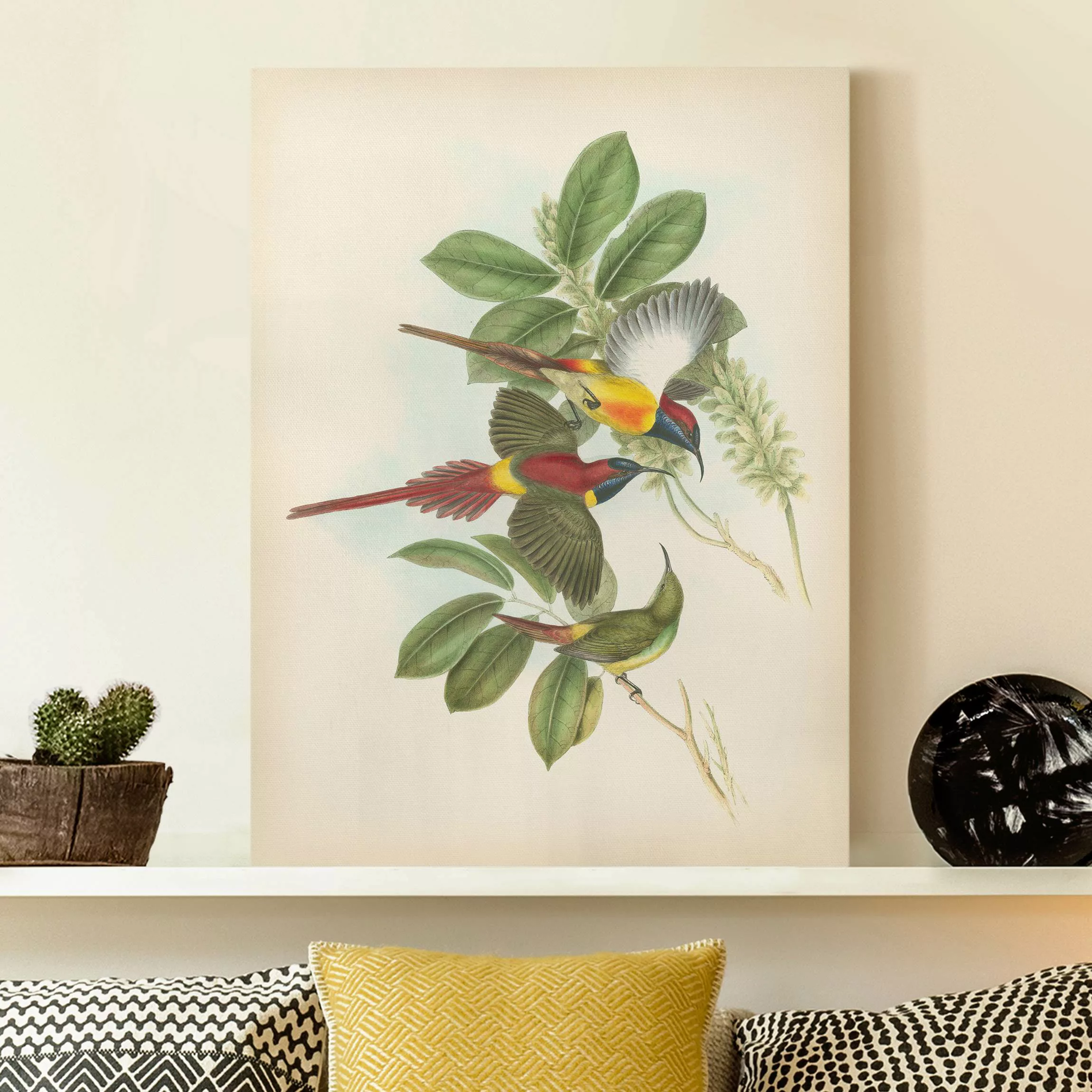 Leinwandbild Vintage Illustration Tropische Vögel III günstig online kaufen