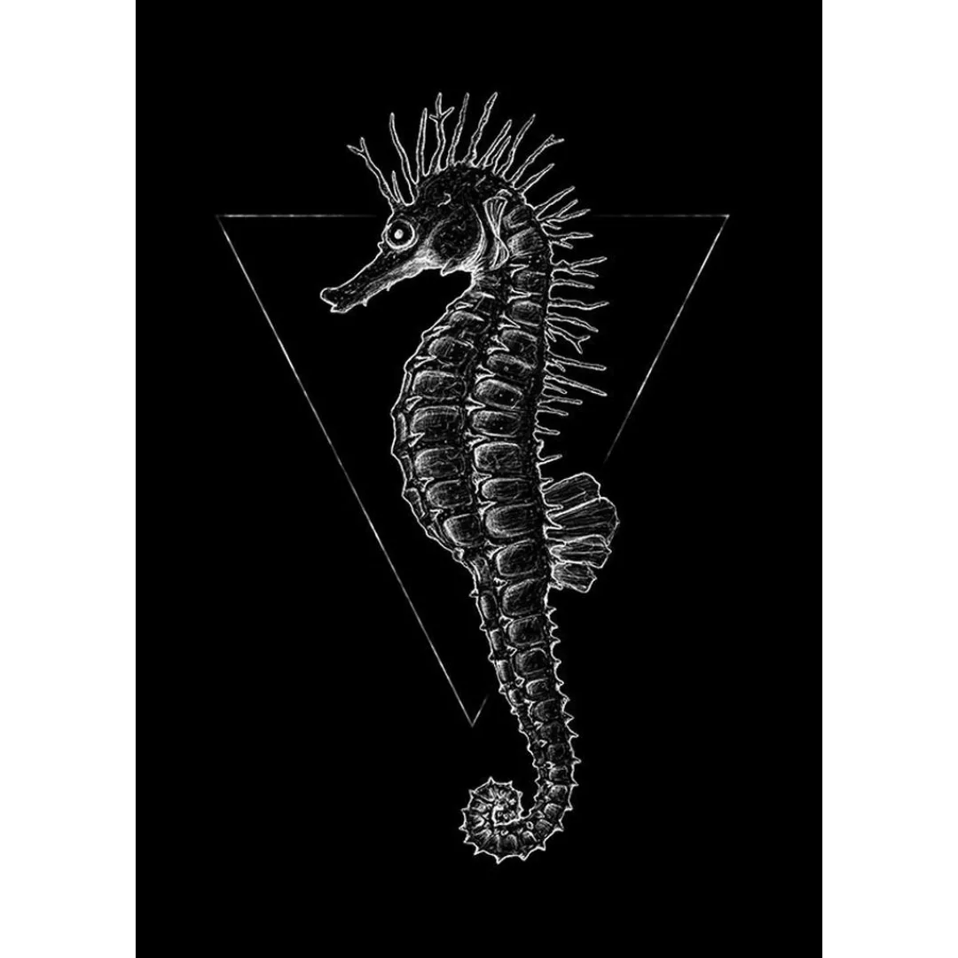 KOMAR Wandbild - Sea Horse Black - Größe: 50 x 70 cm mehrfarbig Gr. one siz günstig online kaufen