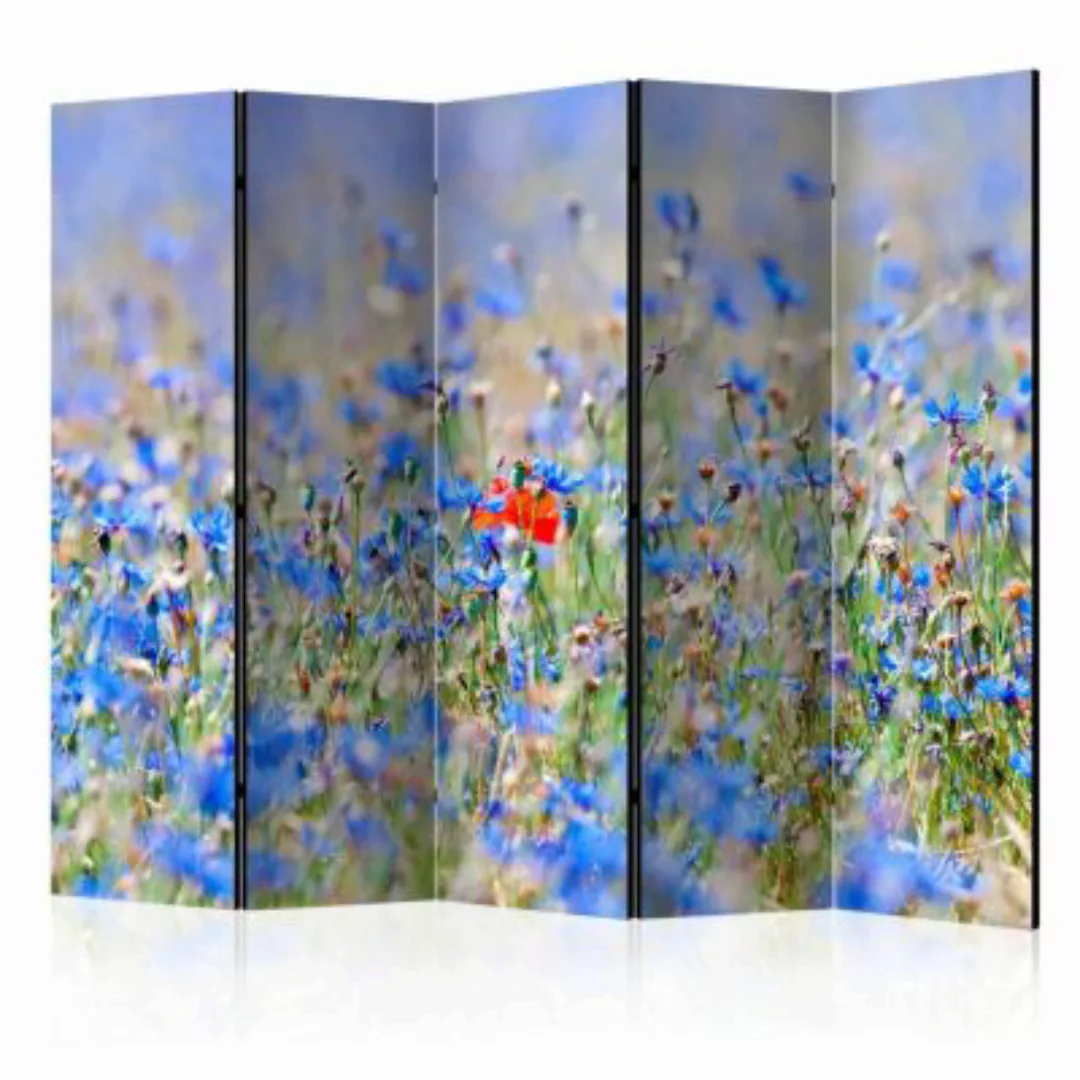 artgeist Paravent A sky-colored meadow - cornflowers II [Room Dividers] meh günstig online kaufen