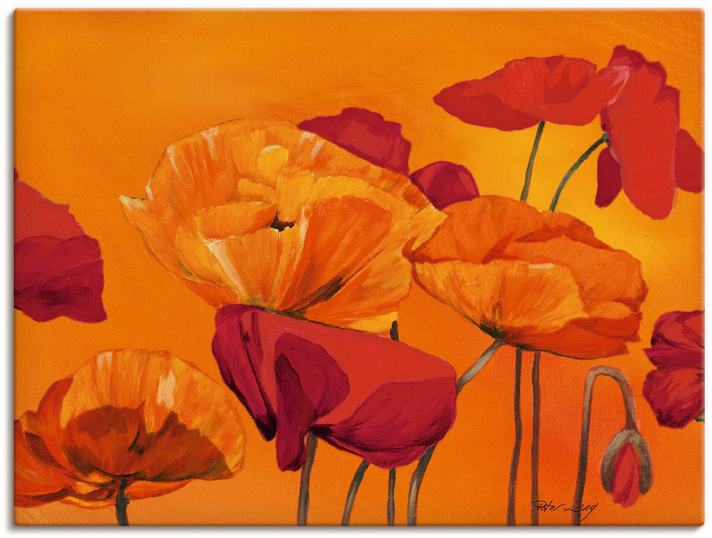 Artland Wandbild "Mohnblume", Blumen, (1 St.), als Leinwandbild, Poster in günstig online kaufen