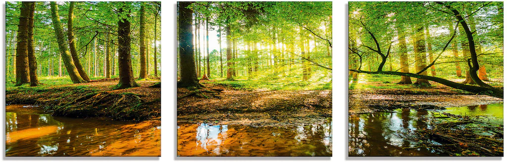 Artland Glasbild "Wald mit Bach", Wald, (3 St.), in verschiedenen Größen günstig online kaufen
