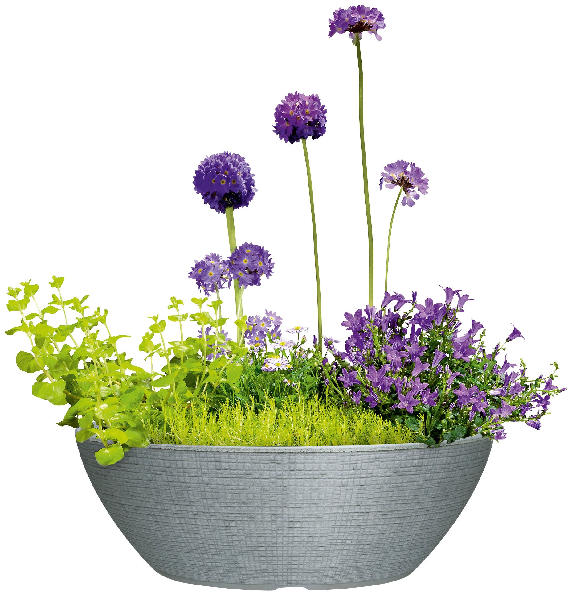 Scheurich Jardiniere Barceo 59 cm x 19,5 cm Stony Black günstig online kaufen