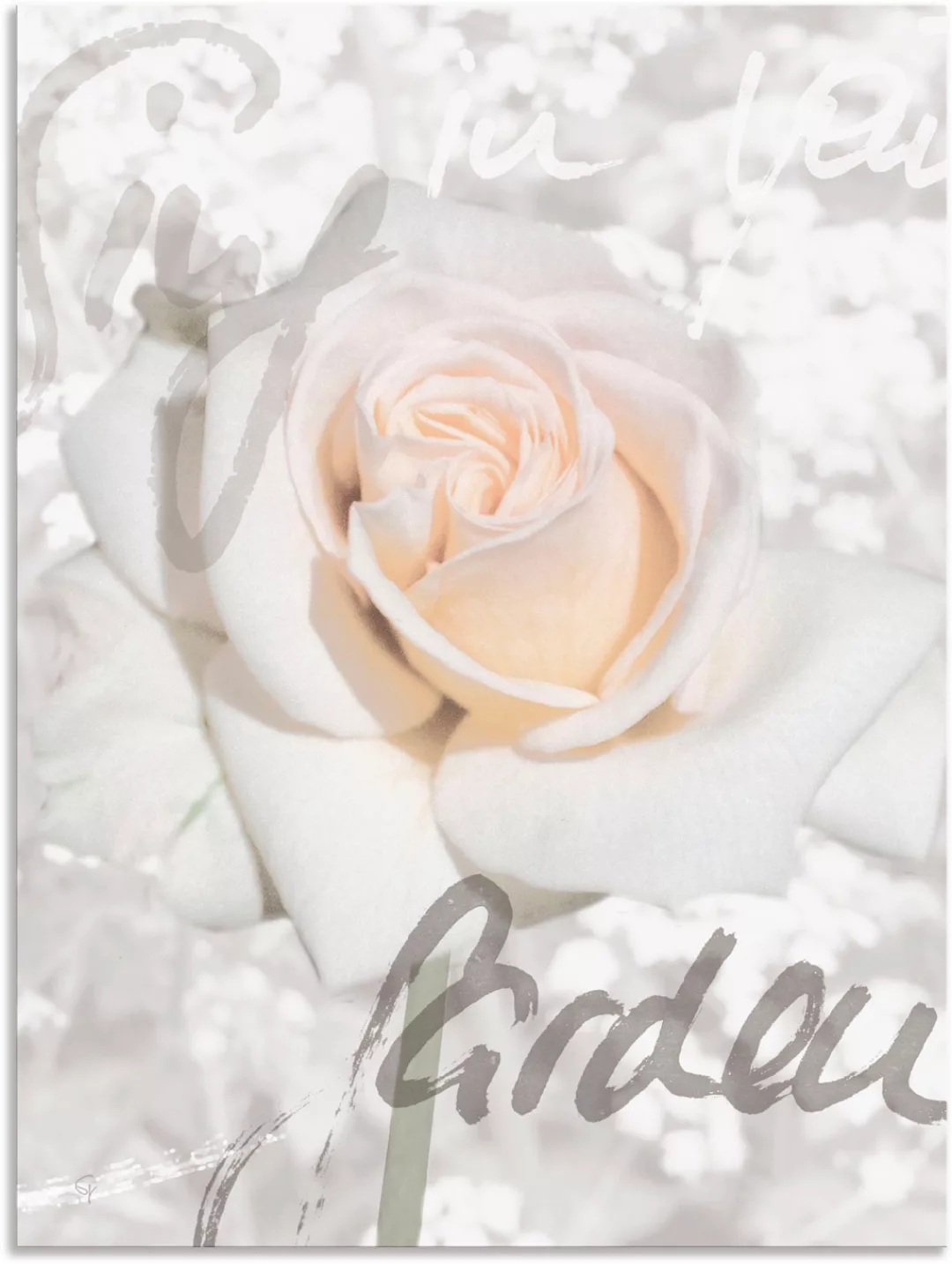 Artland Wandbild »In Lettern - Rose«, Blumen, (1 St.), als Alubild, Outdoor günstig online kaufen