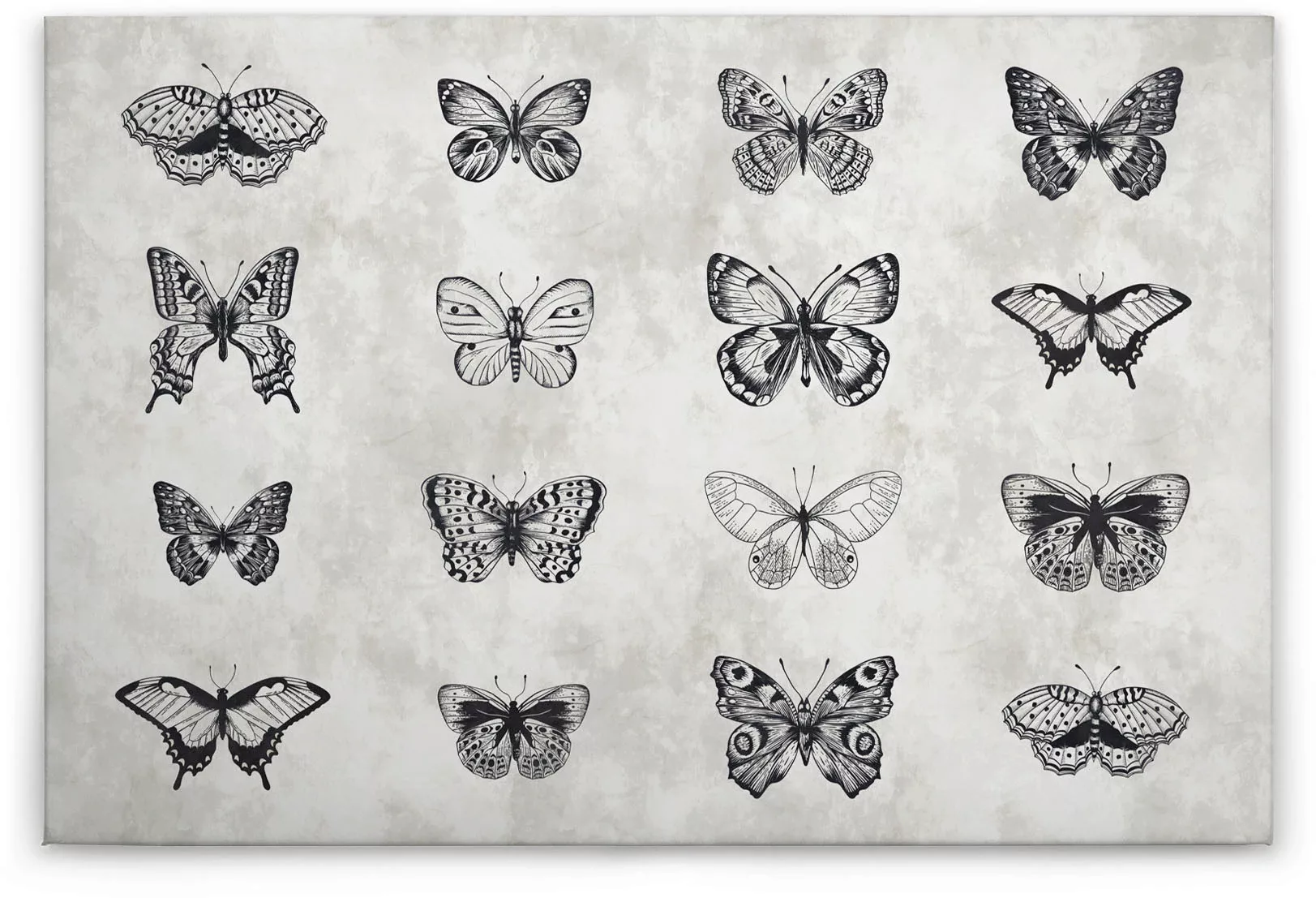 Bricoflor Schmetterling Bild Auf Leinwand Betonoptik Wandbild Mit Gezeichne günstig online kaufen