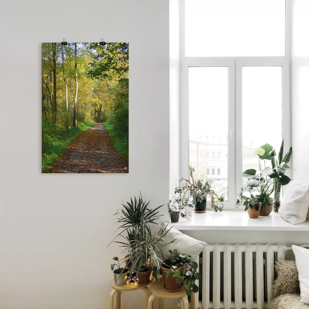 Artland Wandbild "Weg im Herbst Wald", Wald, (1 St.), als Poster, Wandaufkl günstig online kaufen