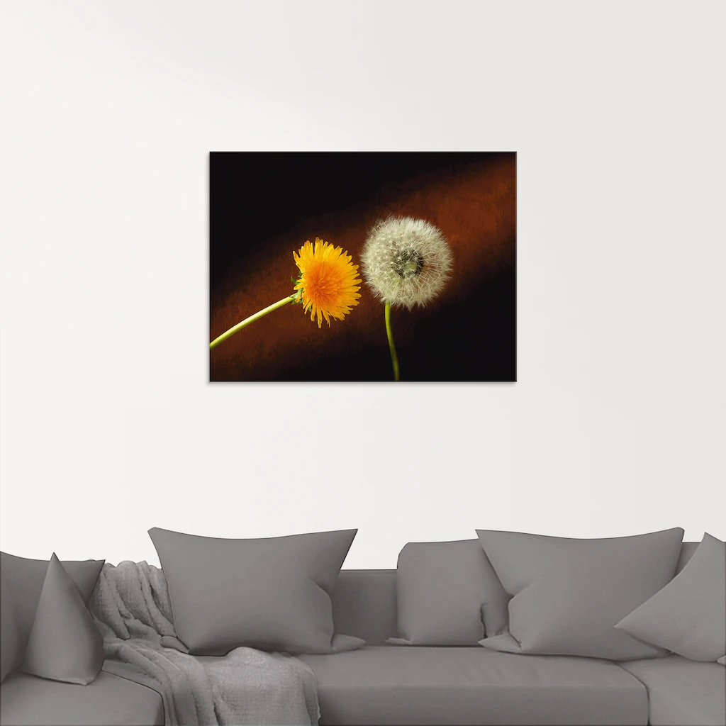 Artland Glasbild »Pusteblume Löwenzahn«, Blumen, (1 St.), in verschiedenen günstig online kaufen