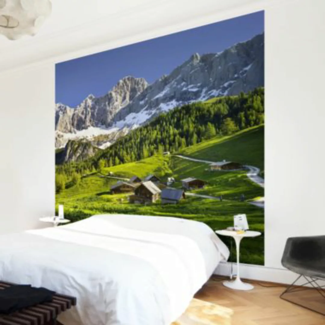 Bilderwelten Fototapete Steiermark Almwiese grün Gr. 336 x 225 günstig online kaufen