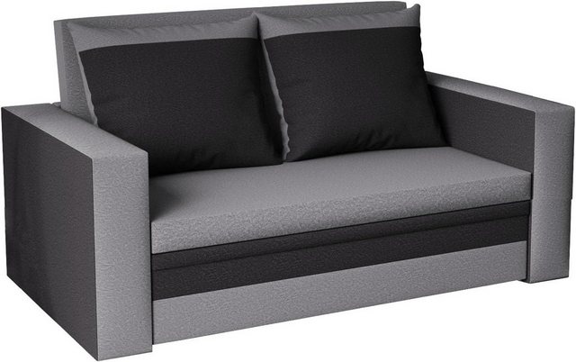 FORNIRO 24 2-Sitzer 2 Sitzen Sofa mit Schlaffunktion, Bettkasten und Kissen günstig online kaufen