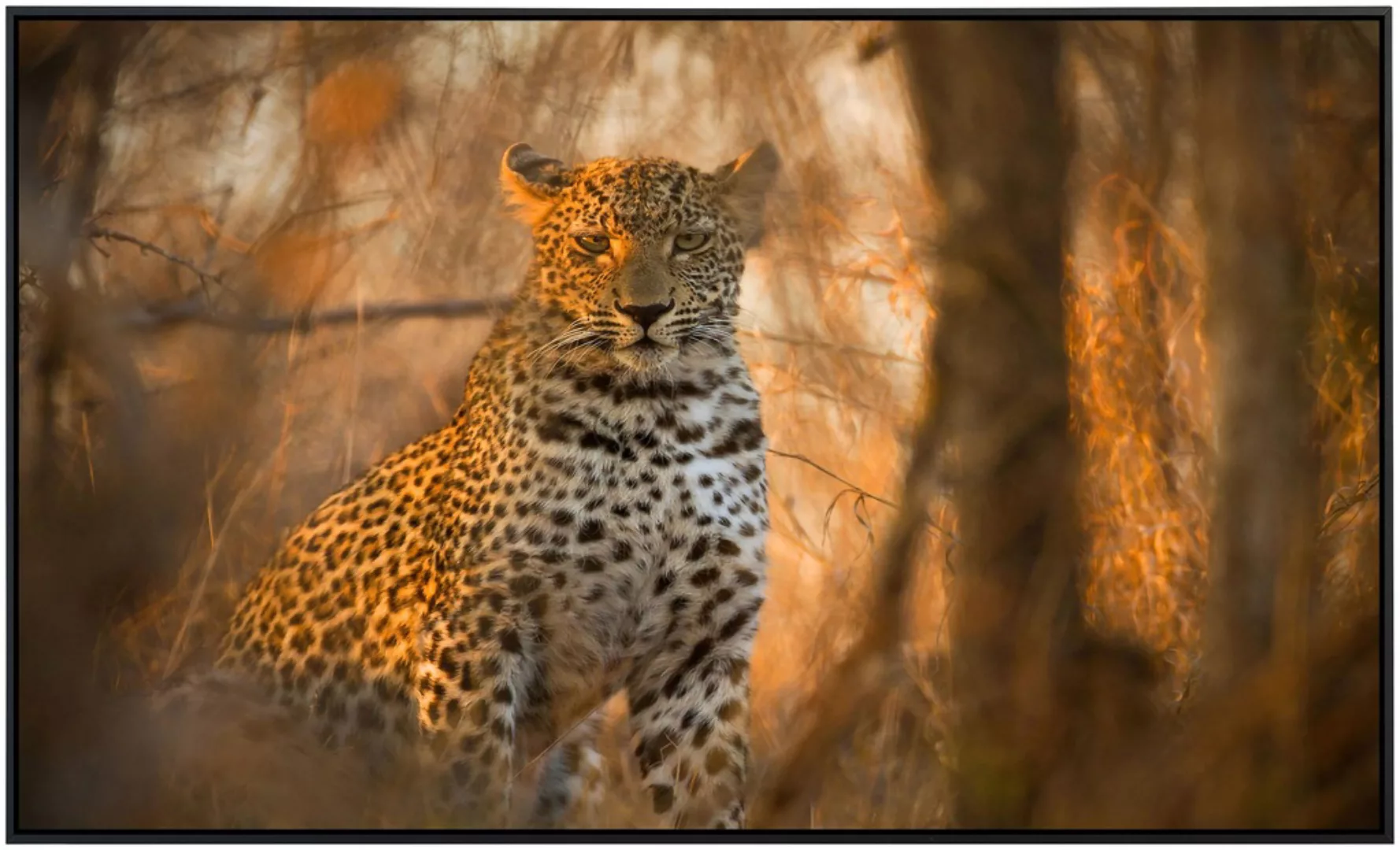 Papermoon Infrarotheizung »Leopard in Wald« günstig online kaufen