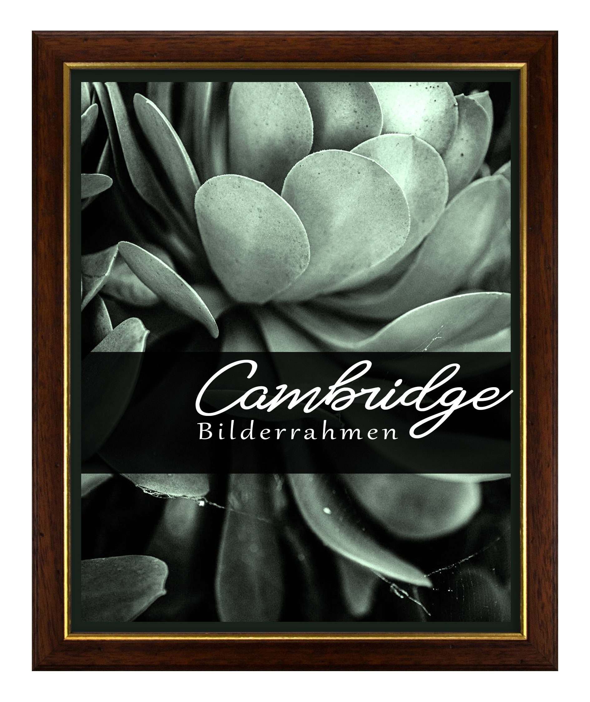 Einzelrahmen Bilderrahmen Cambridge, (1 Stück), 32x45 günstig online kaufen