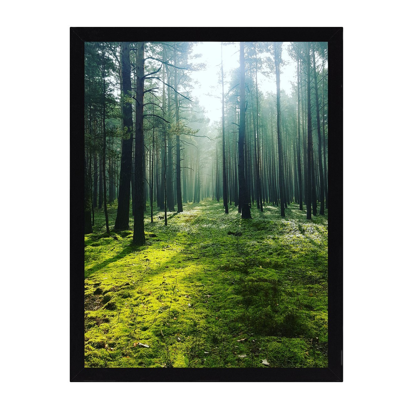 Wandbild Green Forest 30x40cm, 30 x 40 cm günstig online kaufen