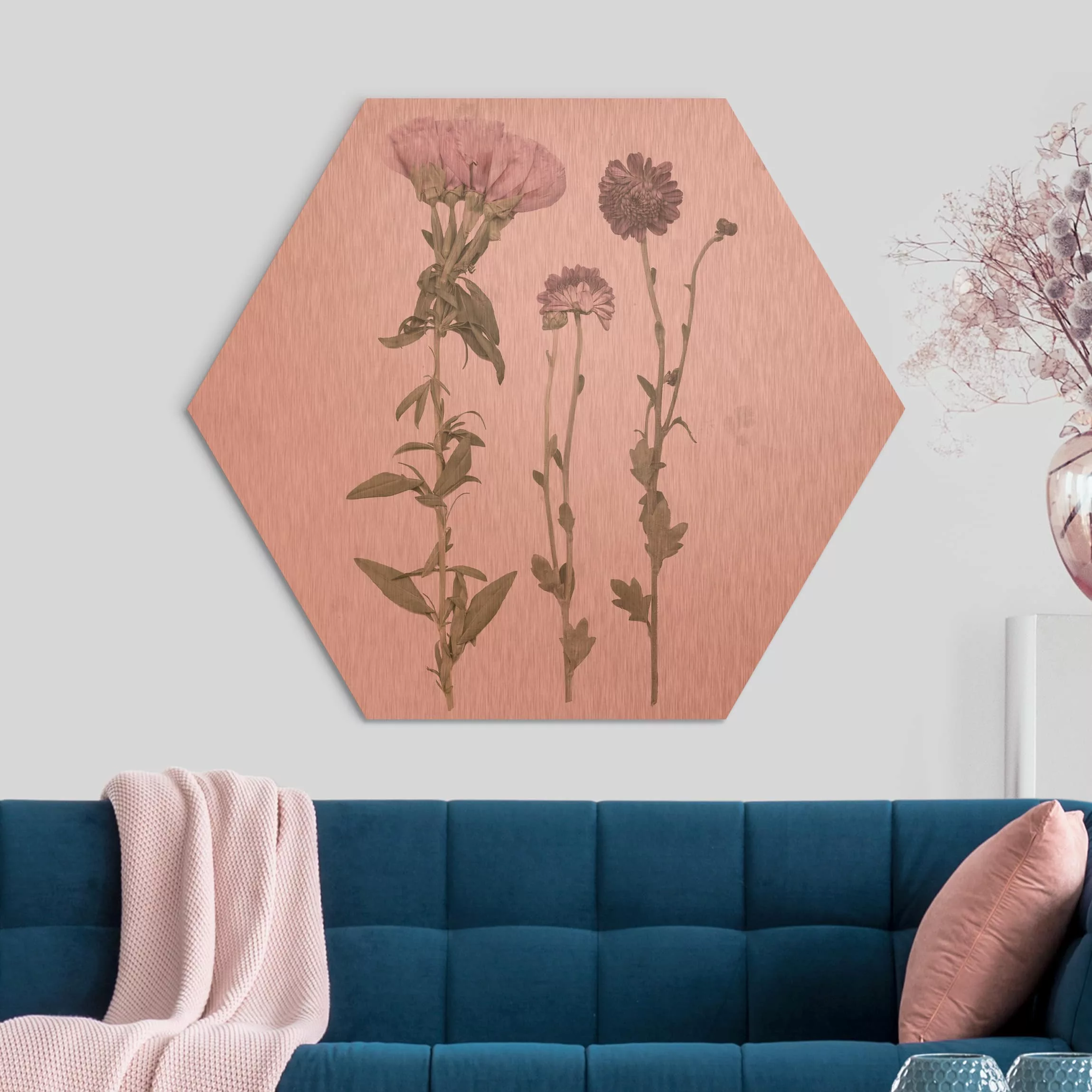 Hexagon-Alu-Dibond Bild Blumen Herbarium in rosa III günstig online kaufen