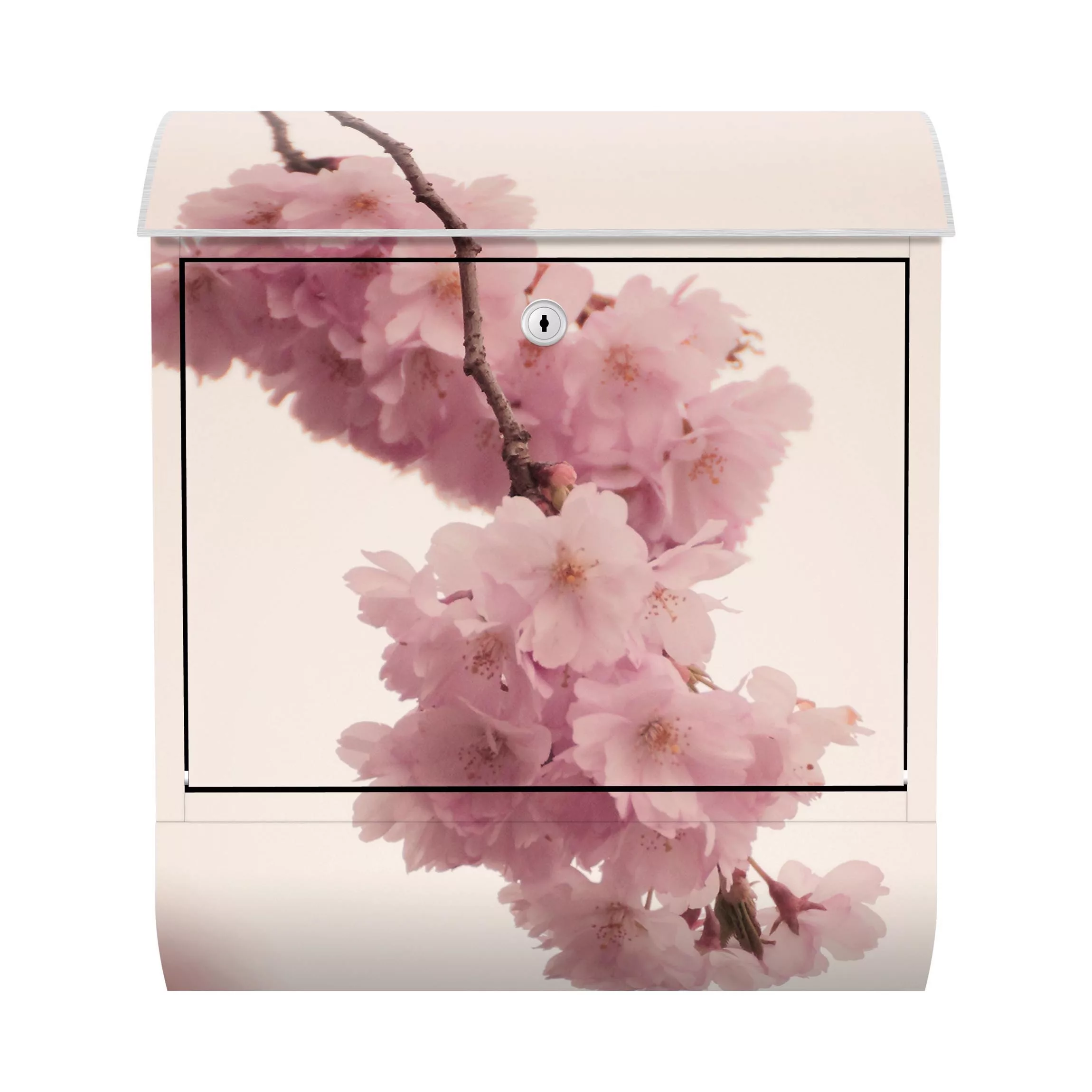Briefkasten Zartrosane Frühlingsblüte mit Bokeh günstig online kaufen
