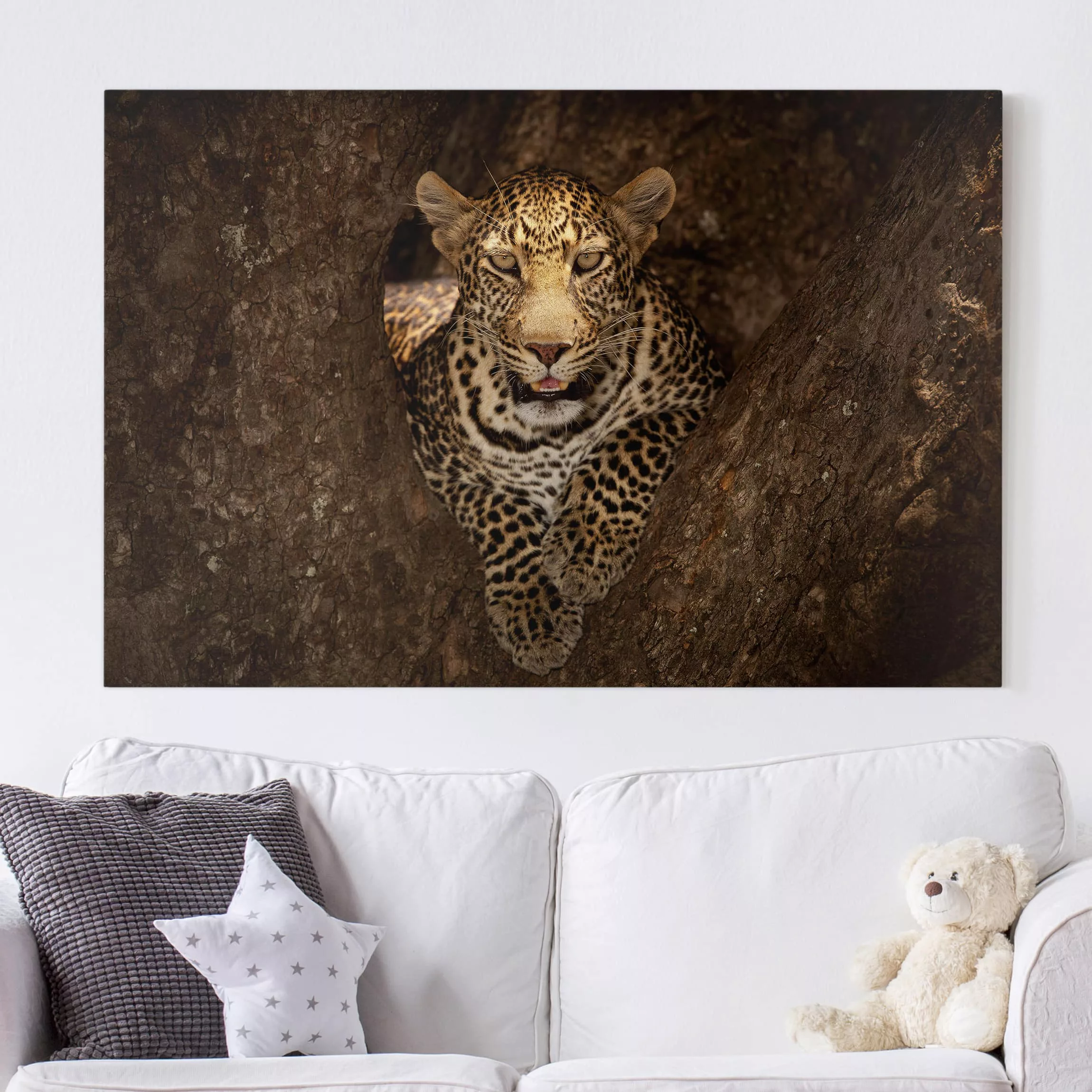Leinwandbild Tiere - Querformat Leopard ruht auf einem Baum günstig online kaufen