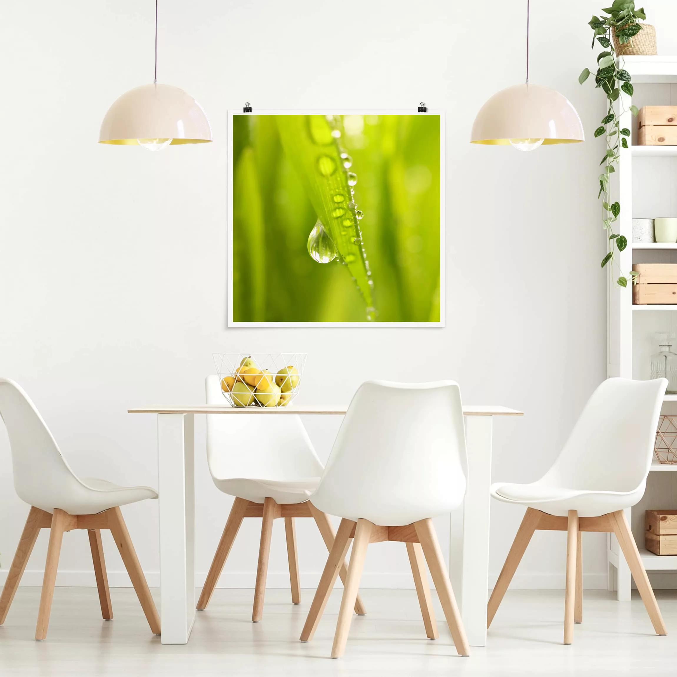 Poster Blumen - Quadrat Morning Dew günstig online kaufen