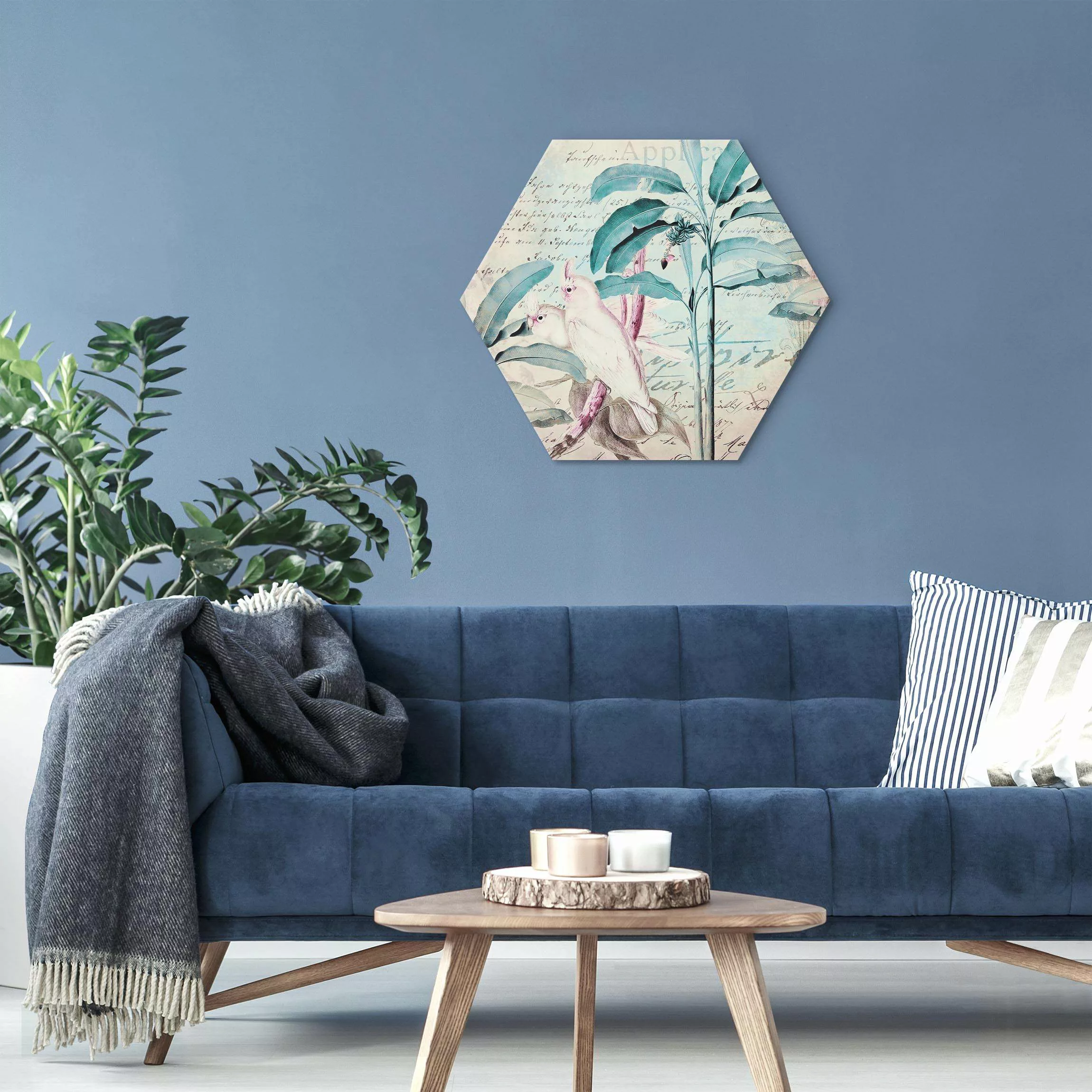 Hexagon-Alu-Dibond Bild Colonial Style Collage - Kakadus und Palmen günstig online kaufen