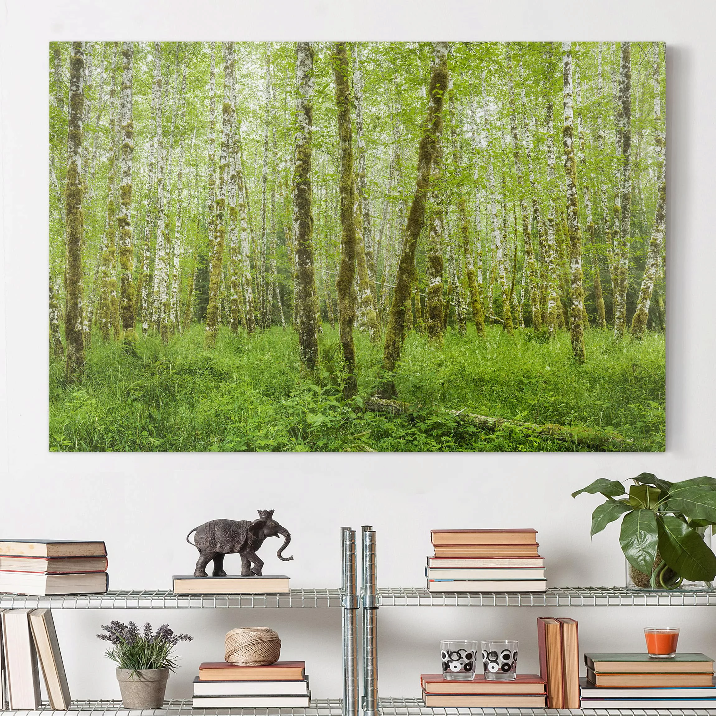 Leinwandbild Wald - Querformat Hoh Rainforest Olympic National Park günstig online kaufen