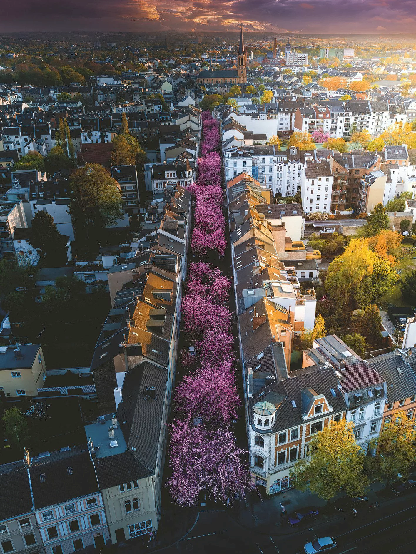 Ravensburger Puzzle Blühendes Bonn, 1500 Puzzleteile, günstig online kaufen