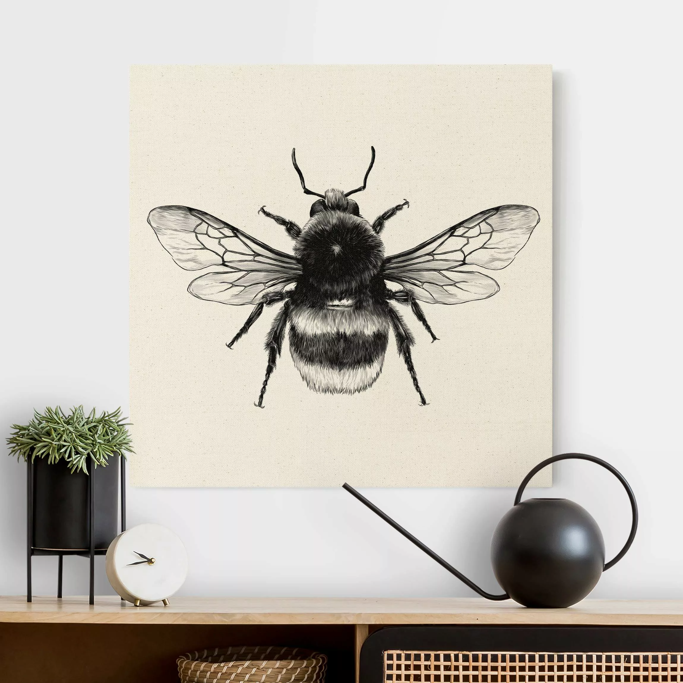 Leinwandbild auf Naturcanvas Illustration fliegende Hummel Schwarz günstig online kaufen