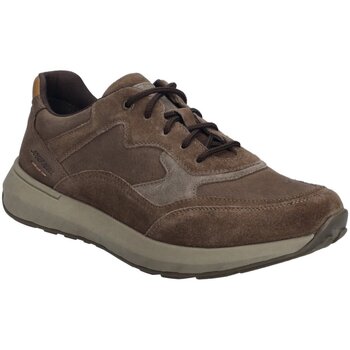 Josef Seibel  Halbschuhe Schnuerschuhe Cameron 07 33607 TE796 332 günstig online kaufen