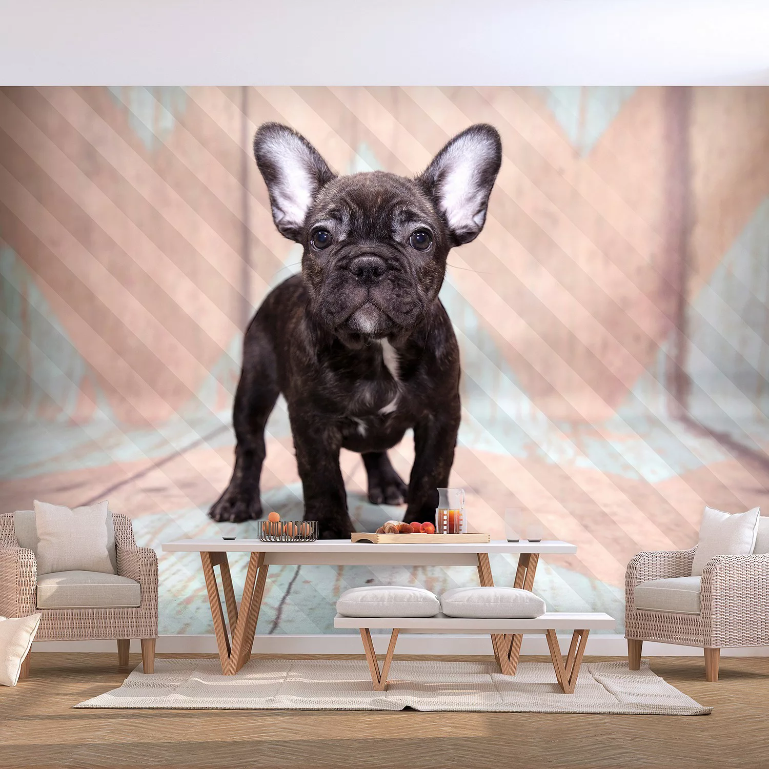 home24 Vlies Fototapete French Bulldog günstig online kaufen