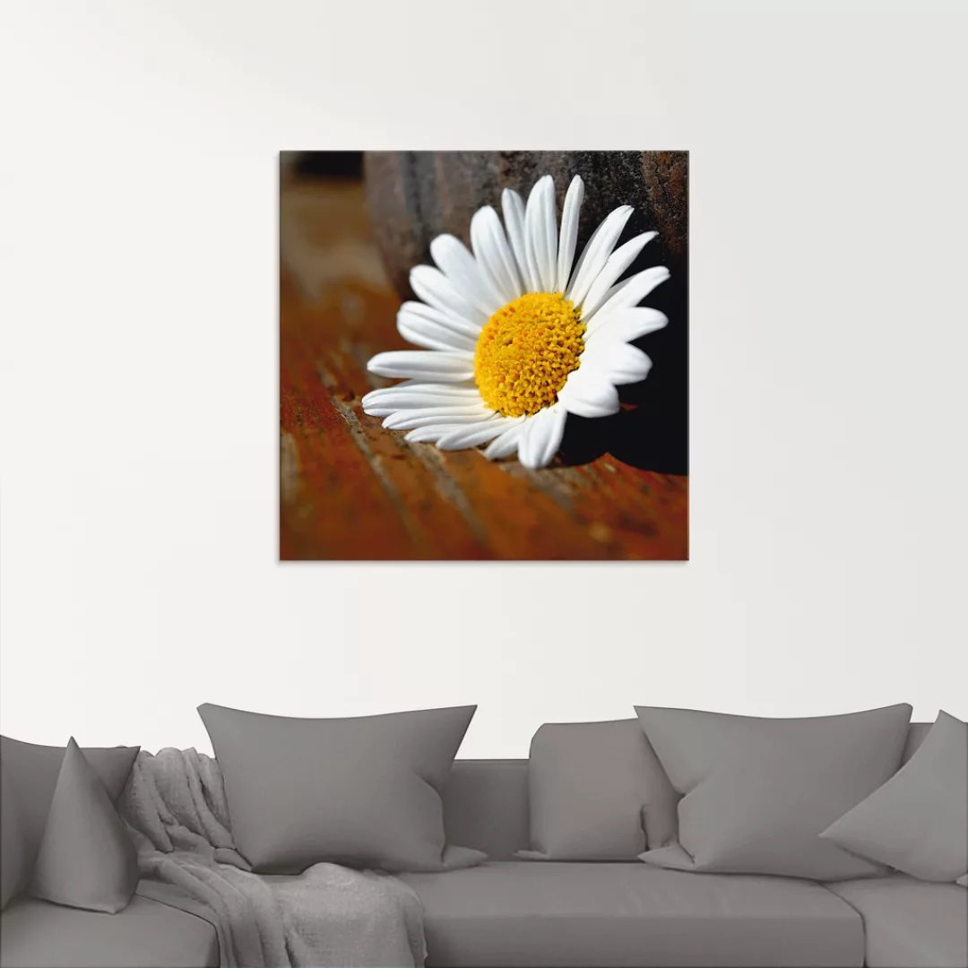 Artland Glasbild "Margeriten Stillleben", Blumen, (1 St.), in verschiedenen günstig online kaufen