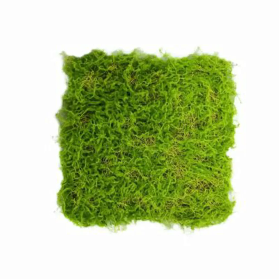 HTI-Living Moosteppich Basteln 50 x 50 cm Kunstpflanze Flora grün günstig online kaufen