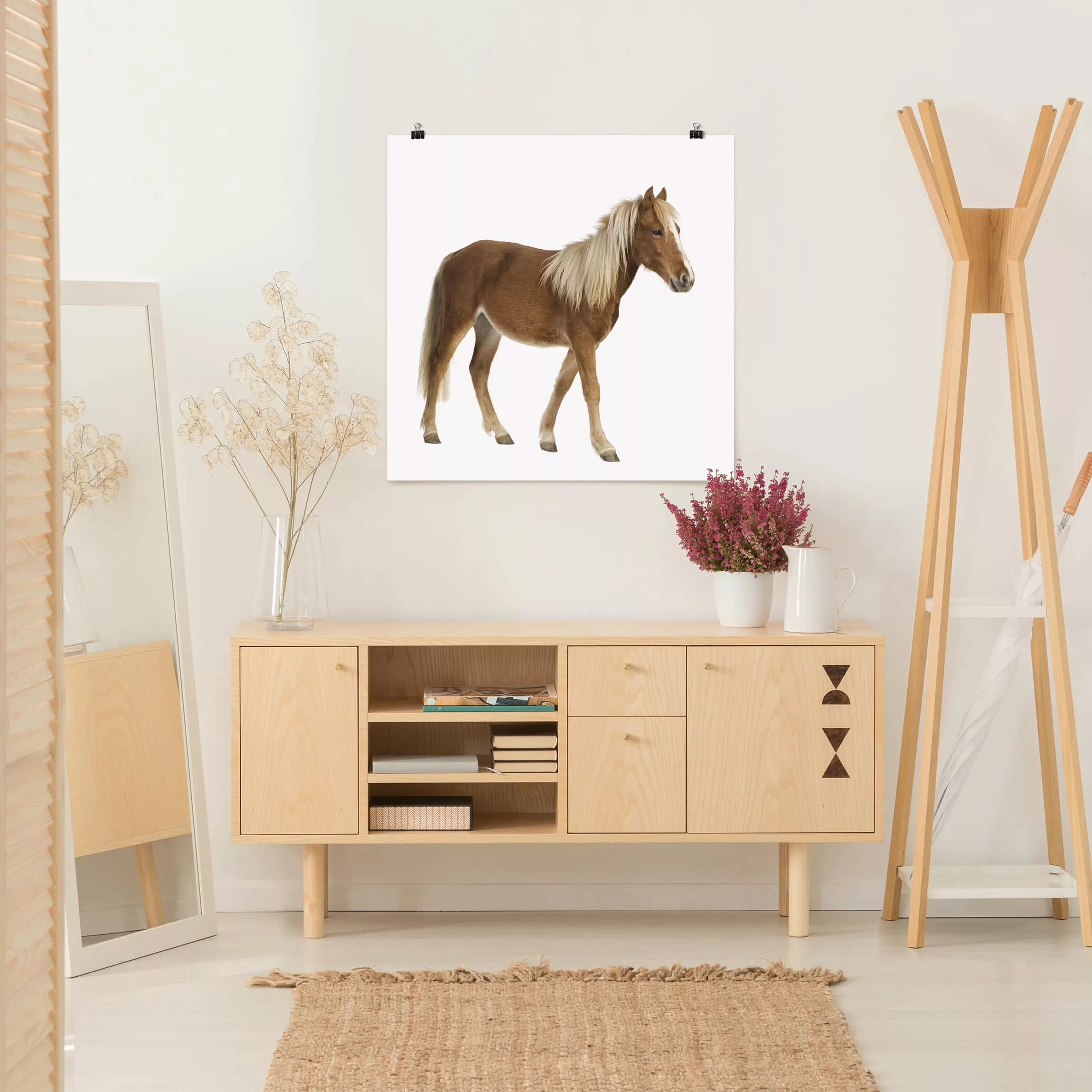 Poster Tiere - Quadrat Pony günstig online kaufen