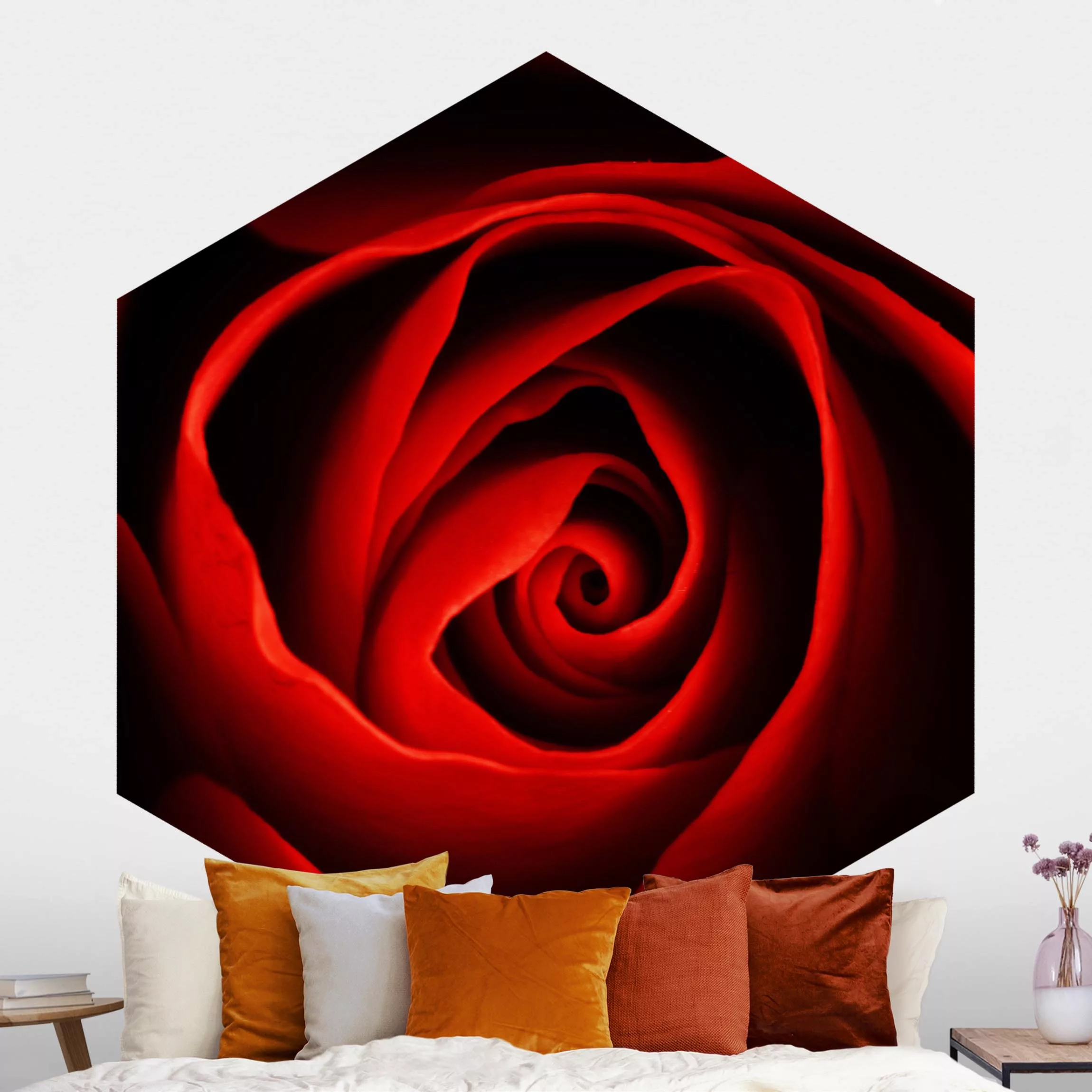 Hexagon Fototapete selbstklebend Liebliche Rose günstig online kaufen