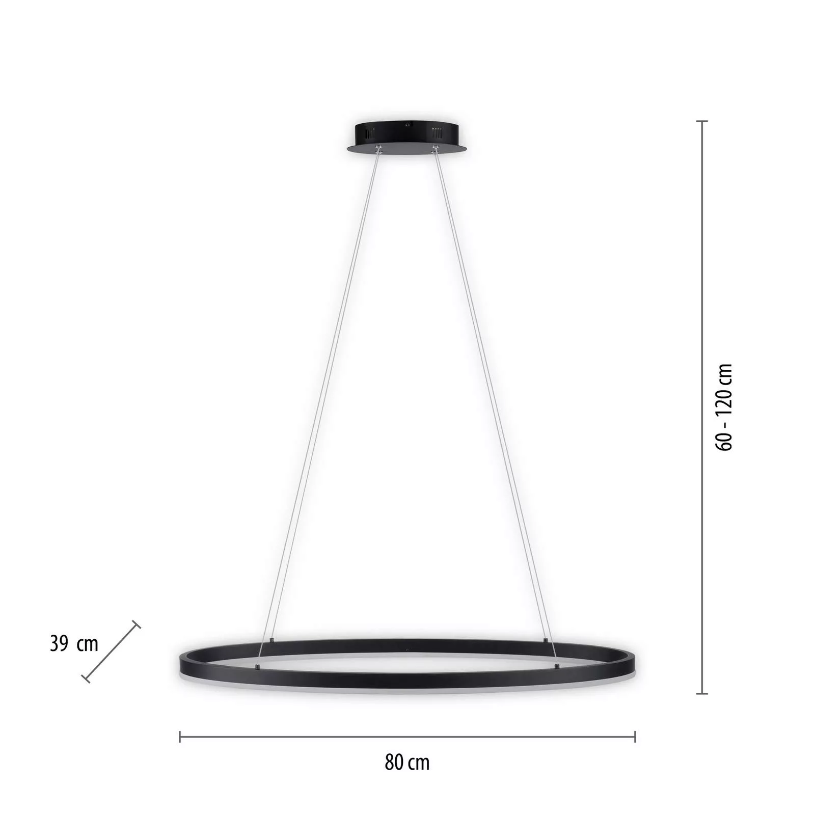 Paul Neuhaus Titus LED-Hängeleuchte, oval 80x39cm günstig online kaufen