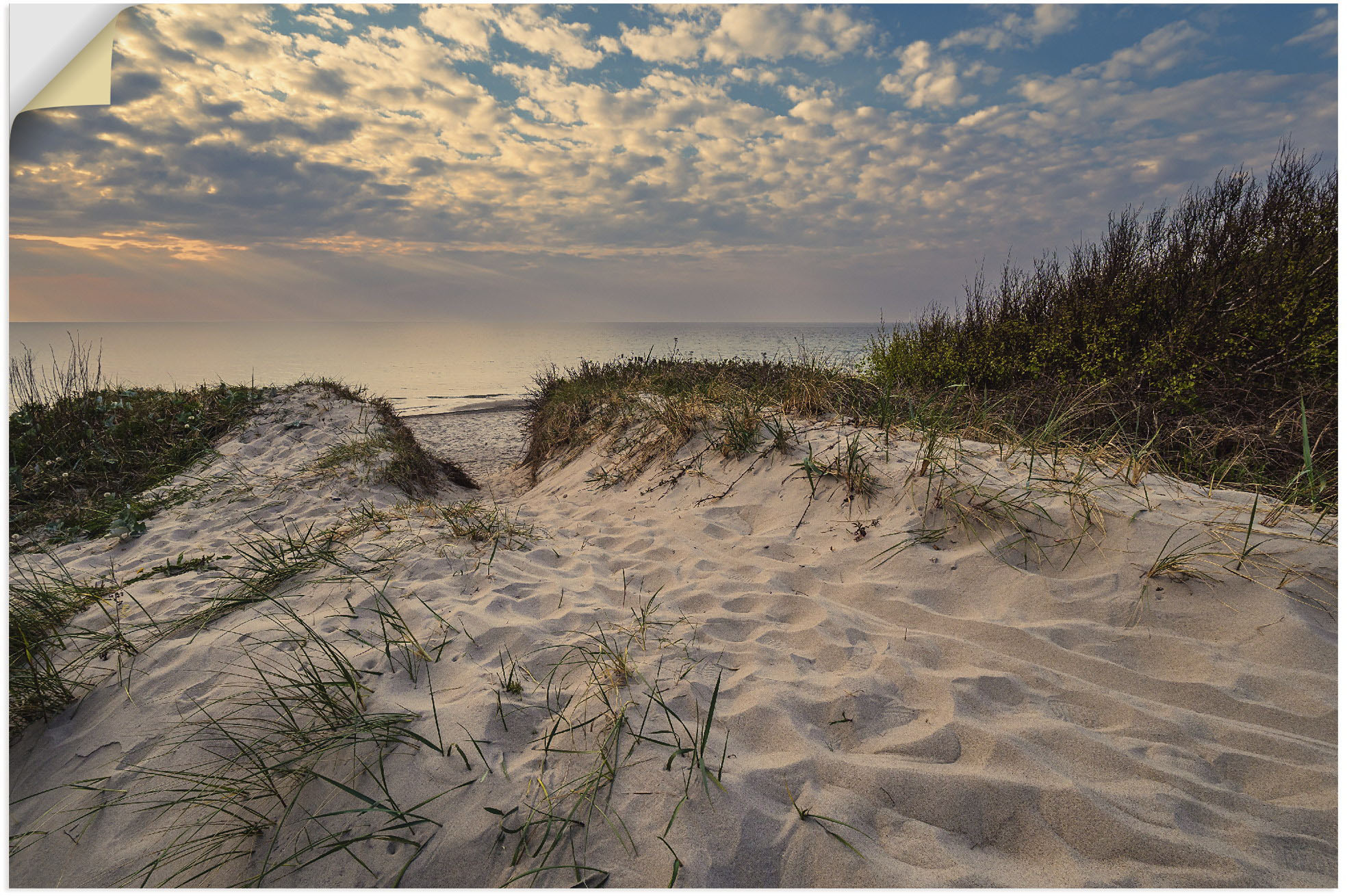 Artland Wandbild "Strand an Küste der Ostsee Graal Müritz", Küstenbilder, ( günstig online kaufen