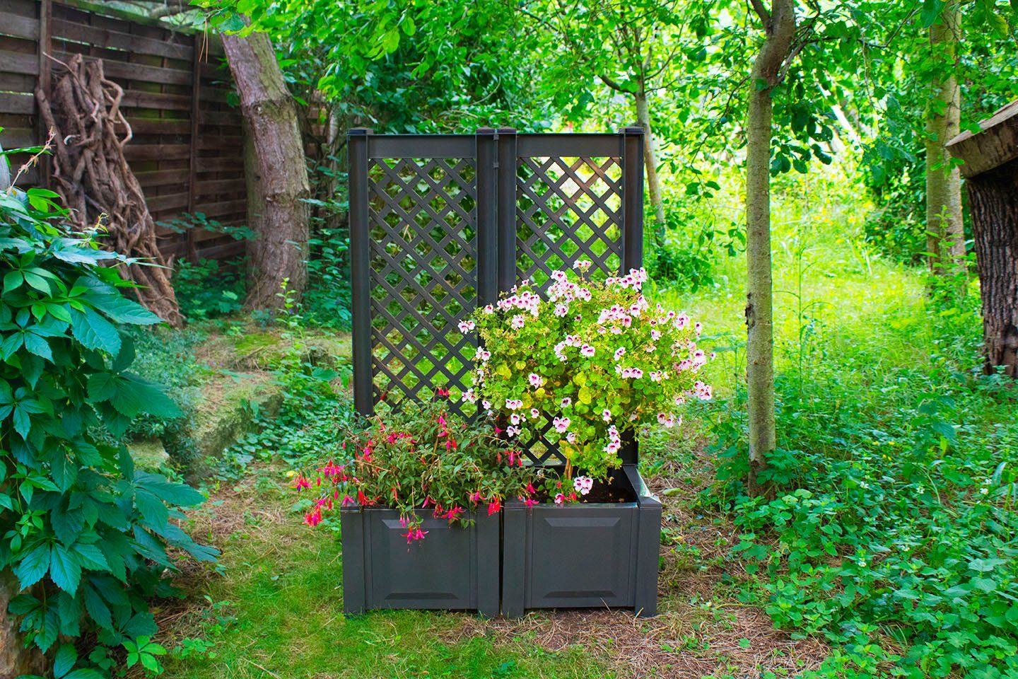 KHW Spalier, (1 St.), mit Pflanzkasten, BxTxH: 43x43x140 cm günstig online kaufen