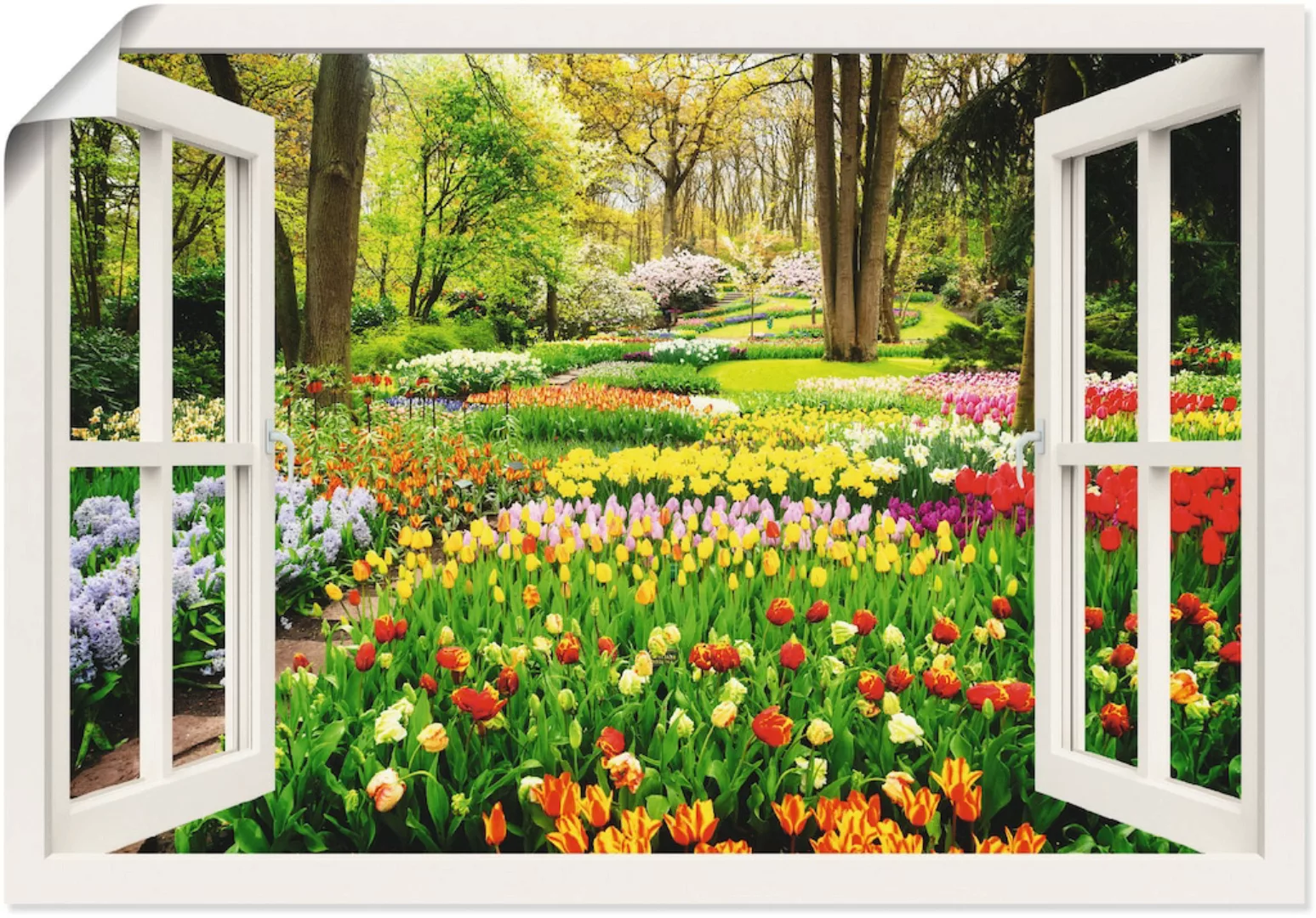 Artland Wandbild »Fensterblick Tulpen Garten Frühling«, Fensterblick, (1 St günstig online kaufen