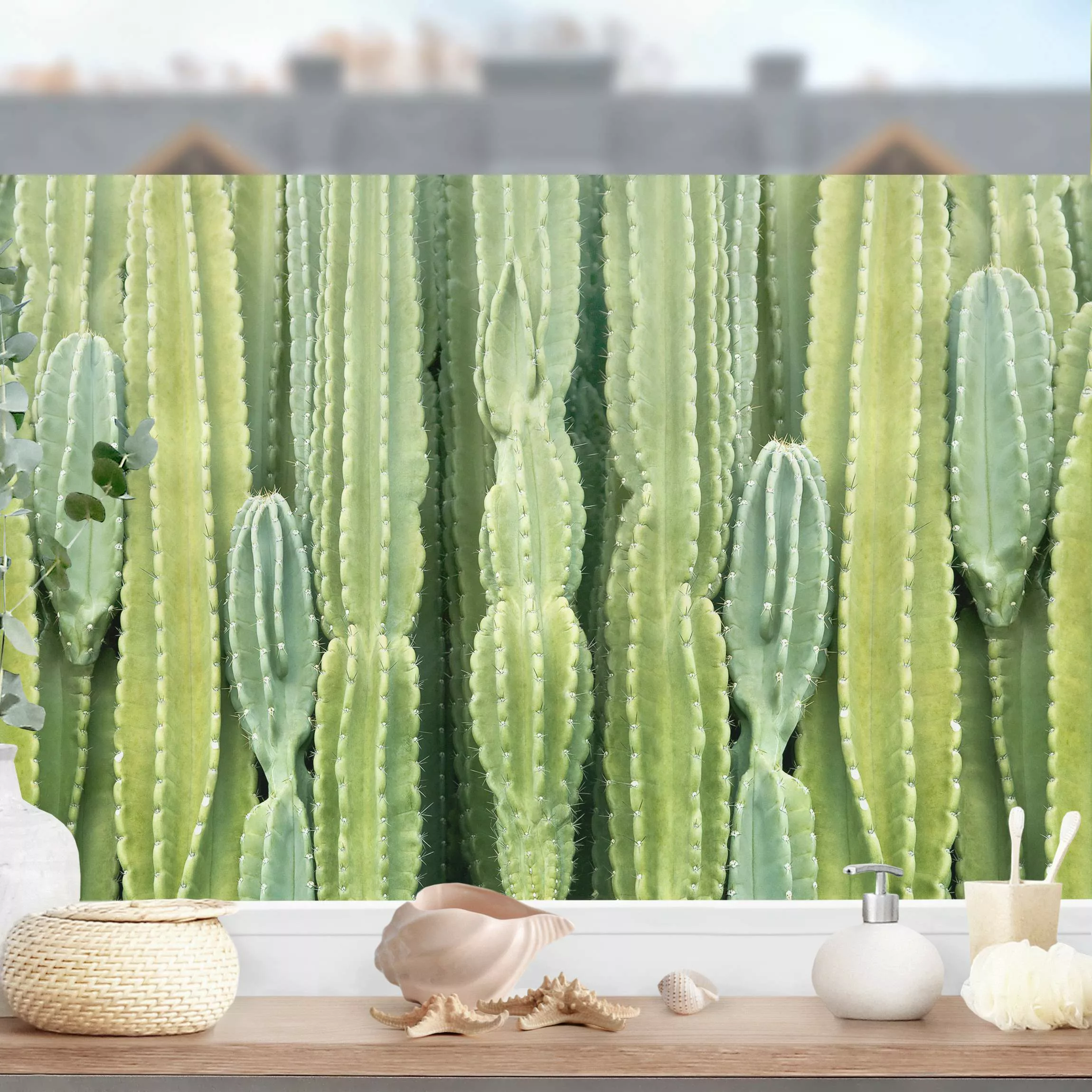 Fensterfolie Kaktus Wand günstig online kaufen