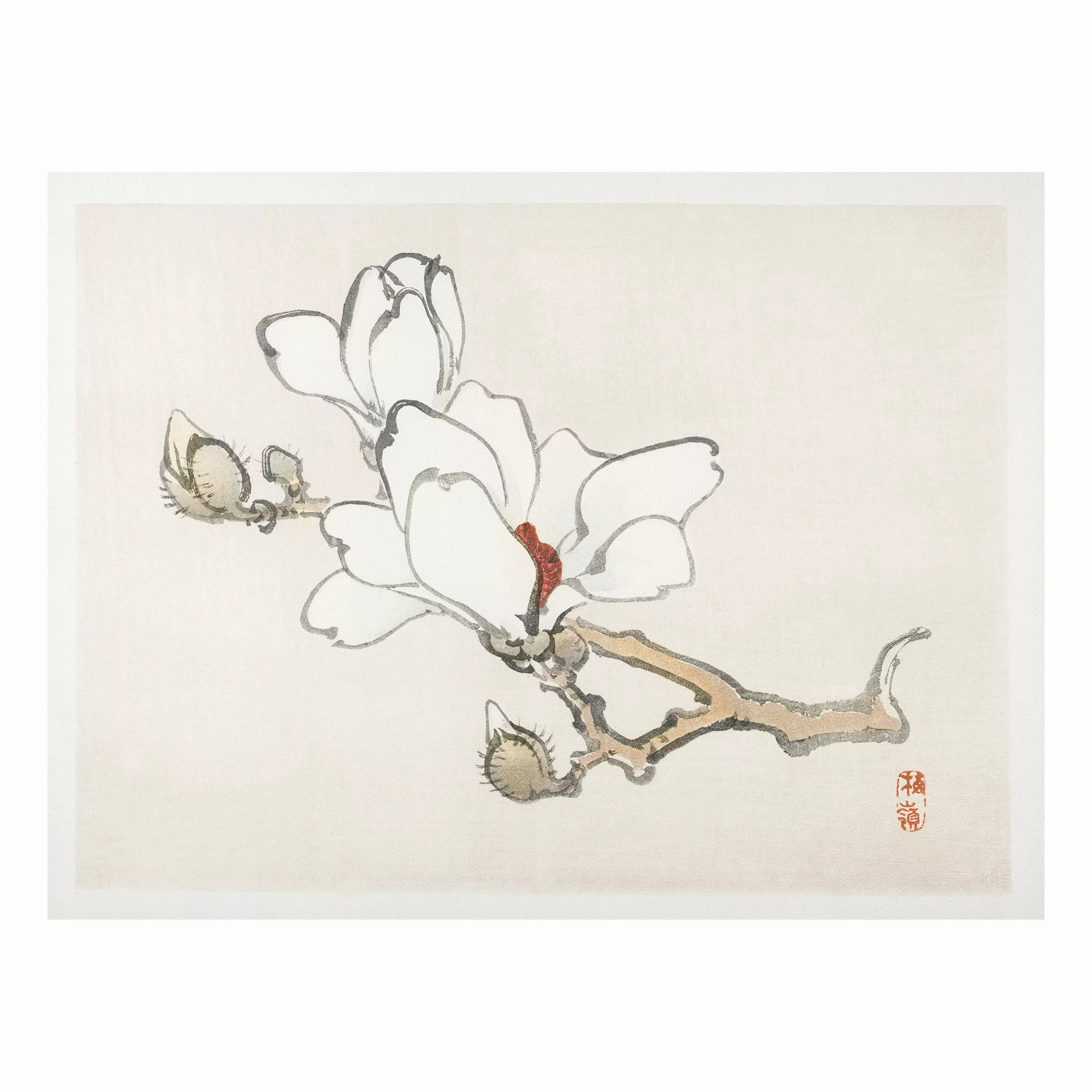 Forexbild Blumen - Querformat Asiatische Vintage Zeichnung Weiße Magnolie günstig online kaufen