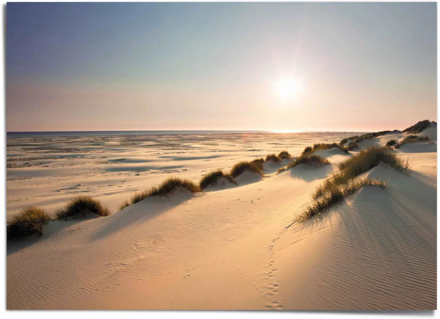 Reinders Poster "Sonnige Dünen" günstig online kaufen