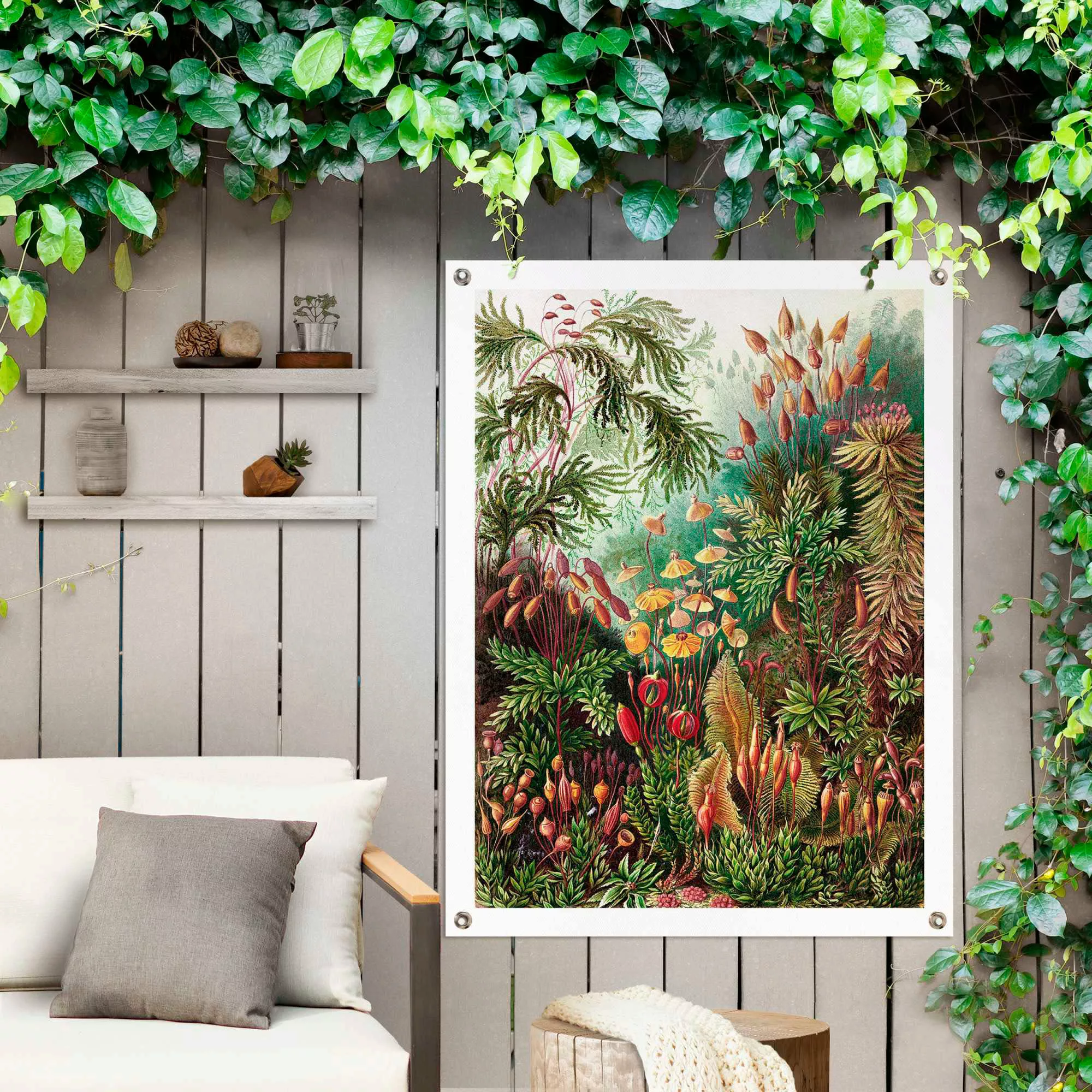 Reinders Poster "Sea Flora" günstig online kaufen