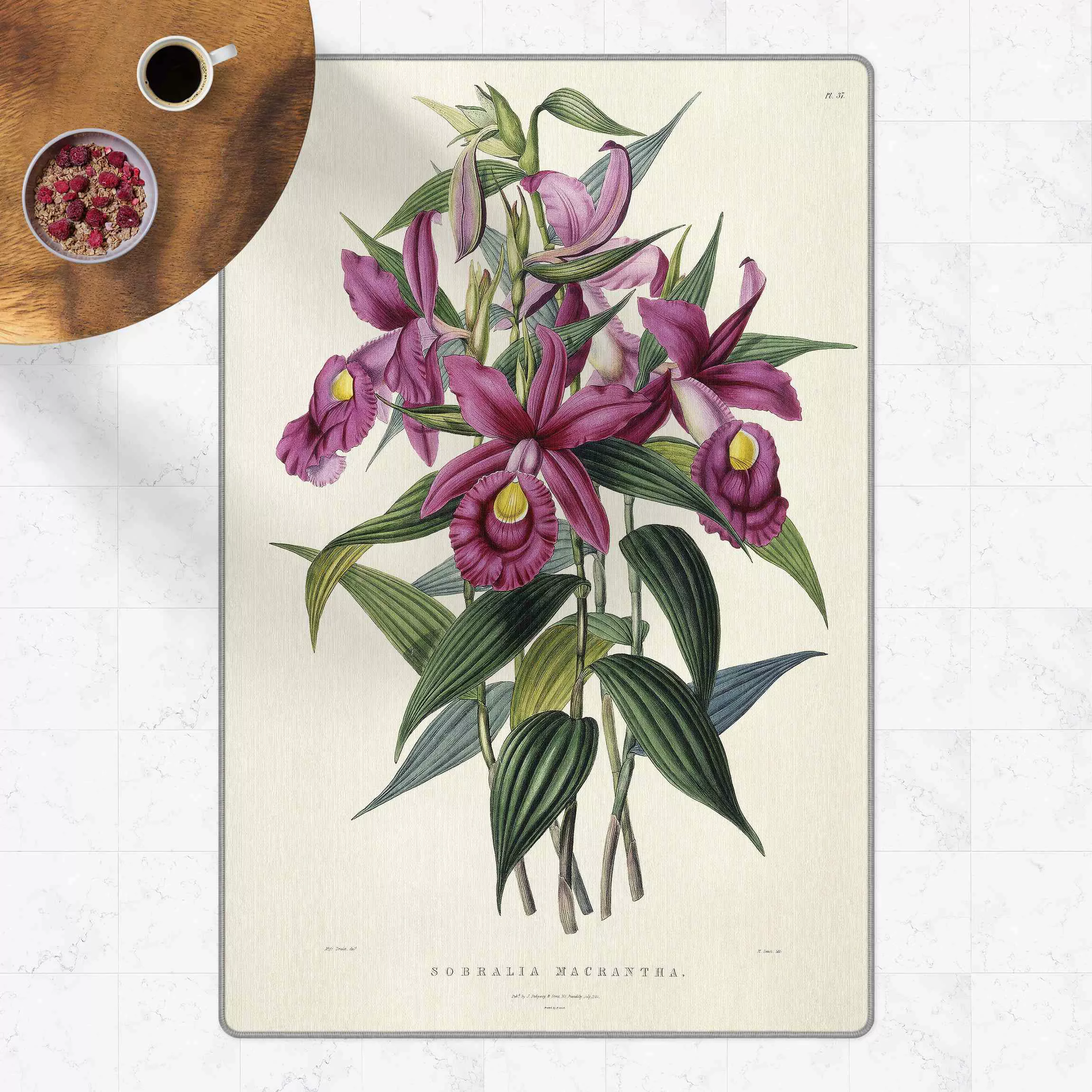 Teppich Maxim Gauci - Orchidee I günstig online kaufen