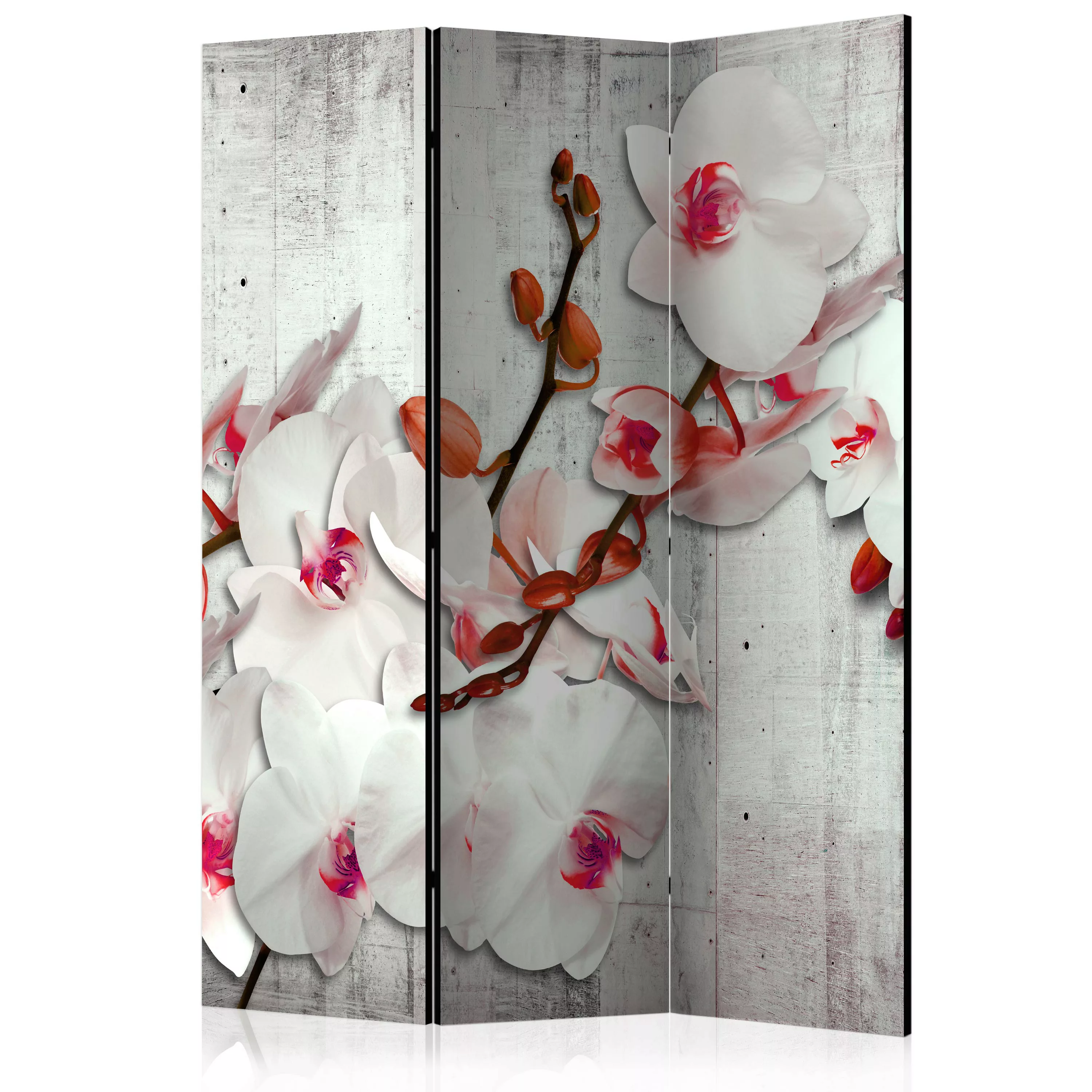 3-teiliges Paravent - Concrete Orchid [room Dividers] günstig online kaufen