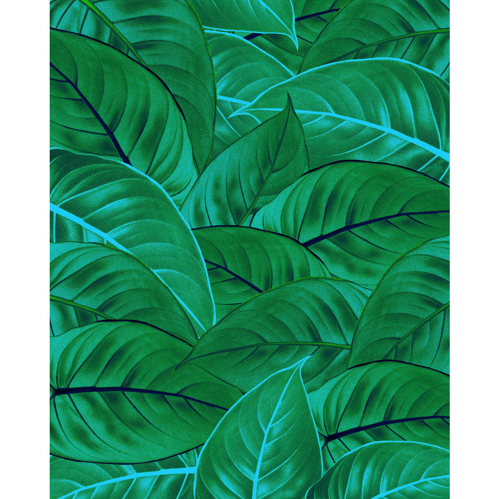 Komar Vliestapete »Digitaldruck Vlies - Jungle Leaves - Größe 200 x 250 cm« günstig online kaufen