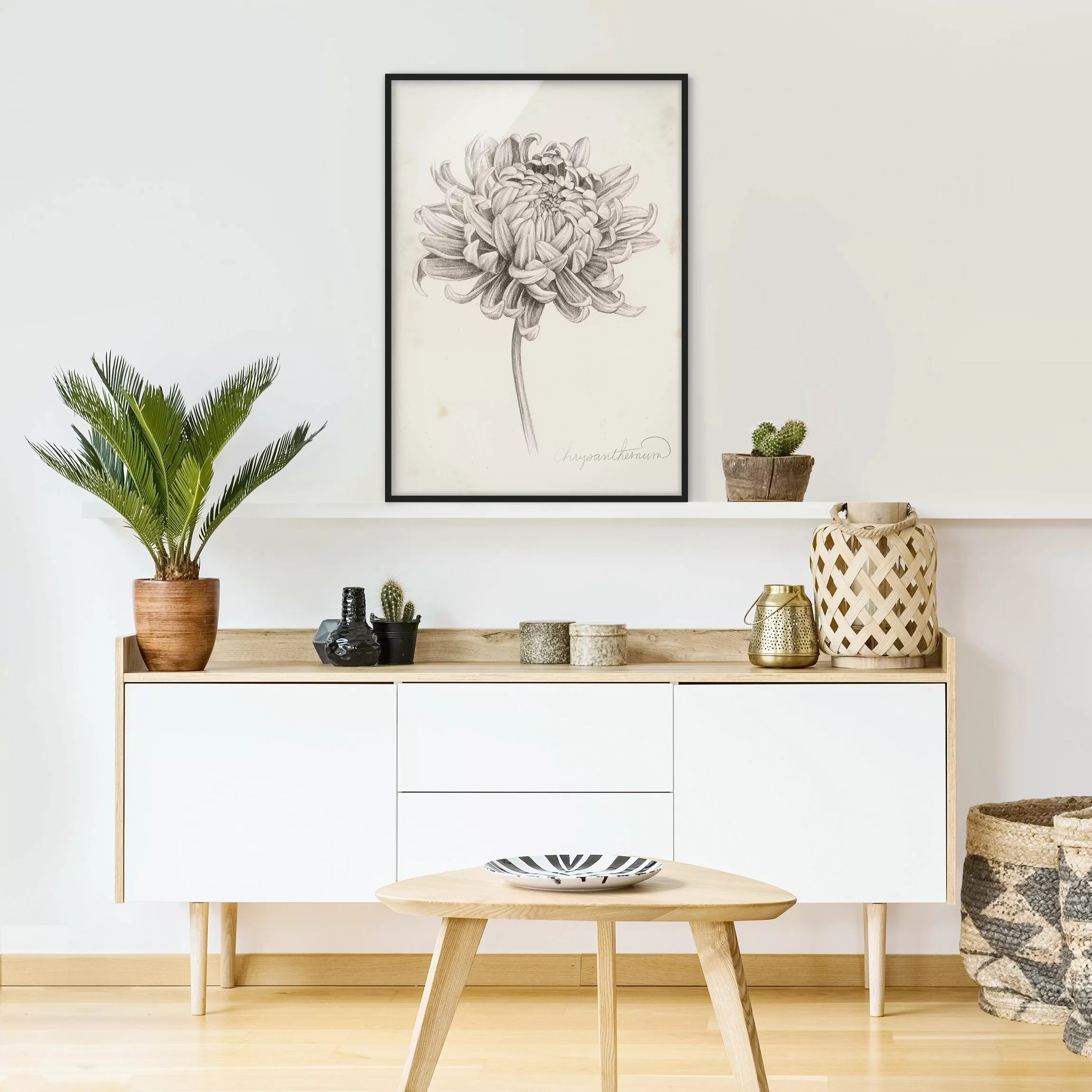 Bild mit Rahmen Blumen - Hochformat Botanische Studie Chrysantheme I günstig online kaufen