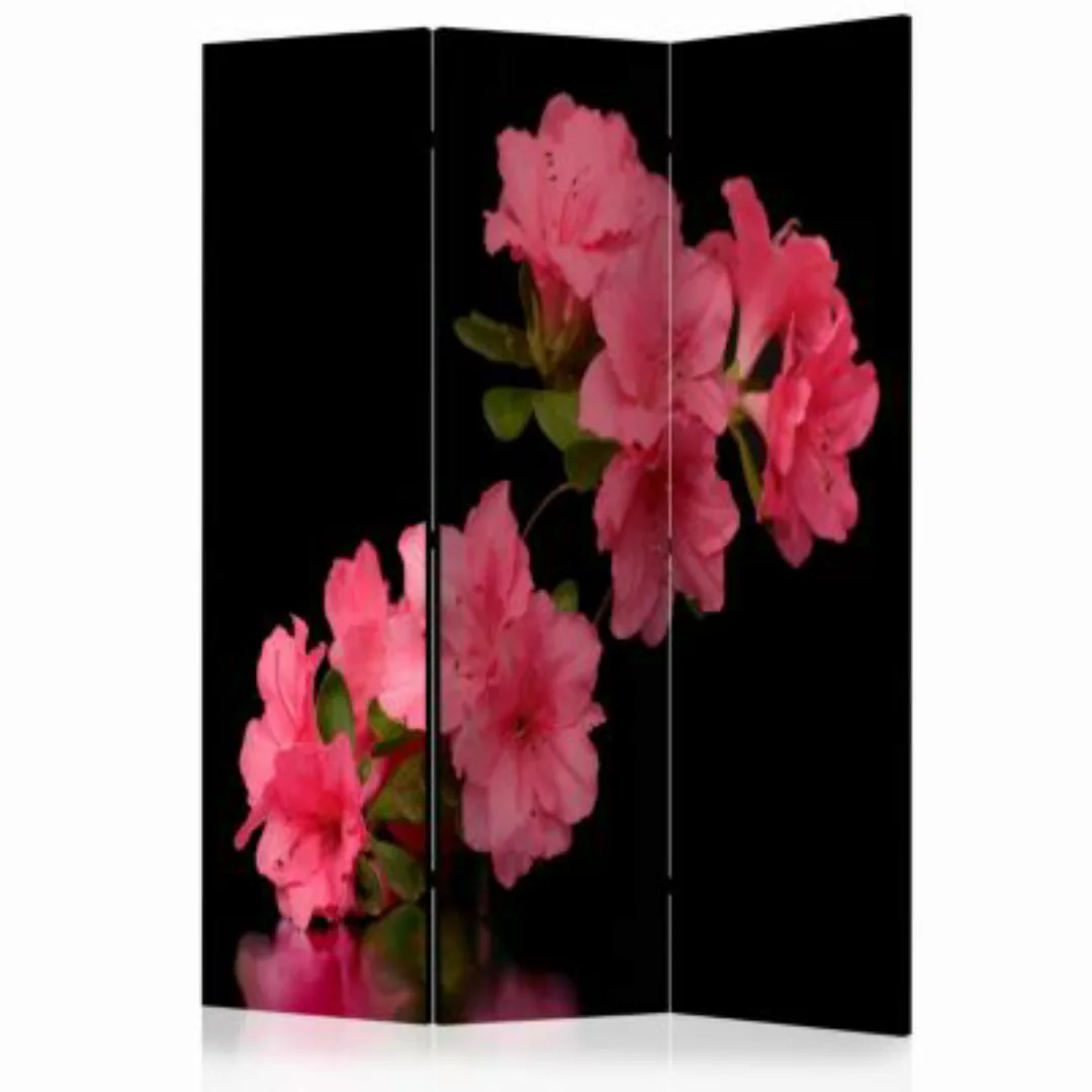 artgeist Paravent Azalea in Black [Room Dividers] mehrfarbig Gr. 135 x 172 günstig online kaufen
