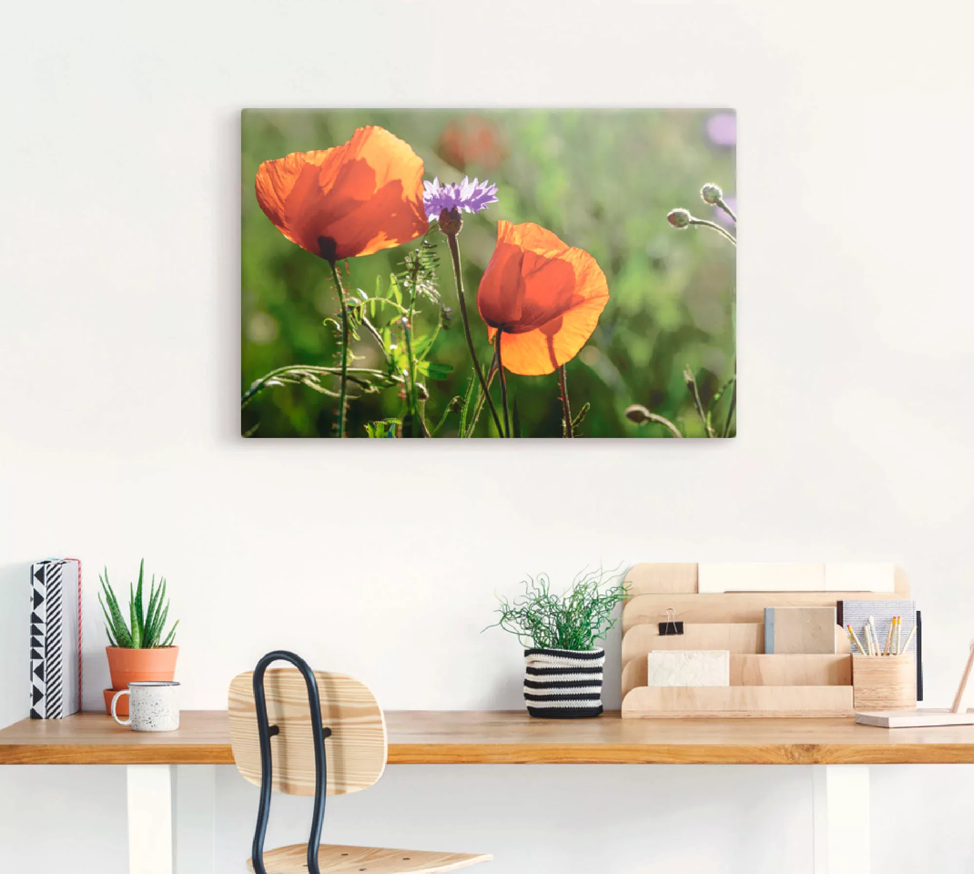 Artland Wandbild "Mohnblumen im Frühling", Blumen, (1 St.) günstig online kaufen