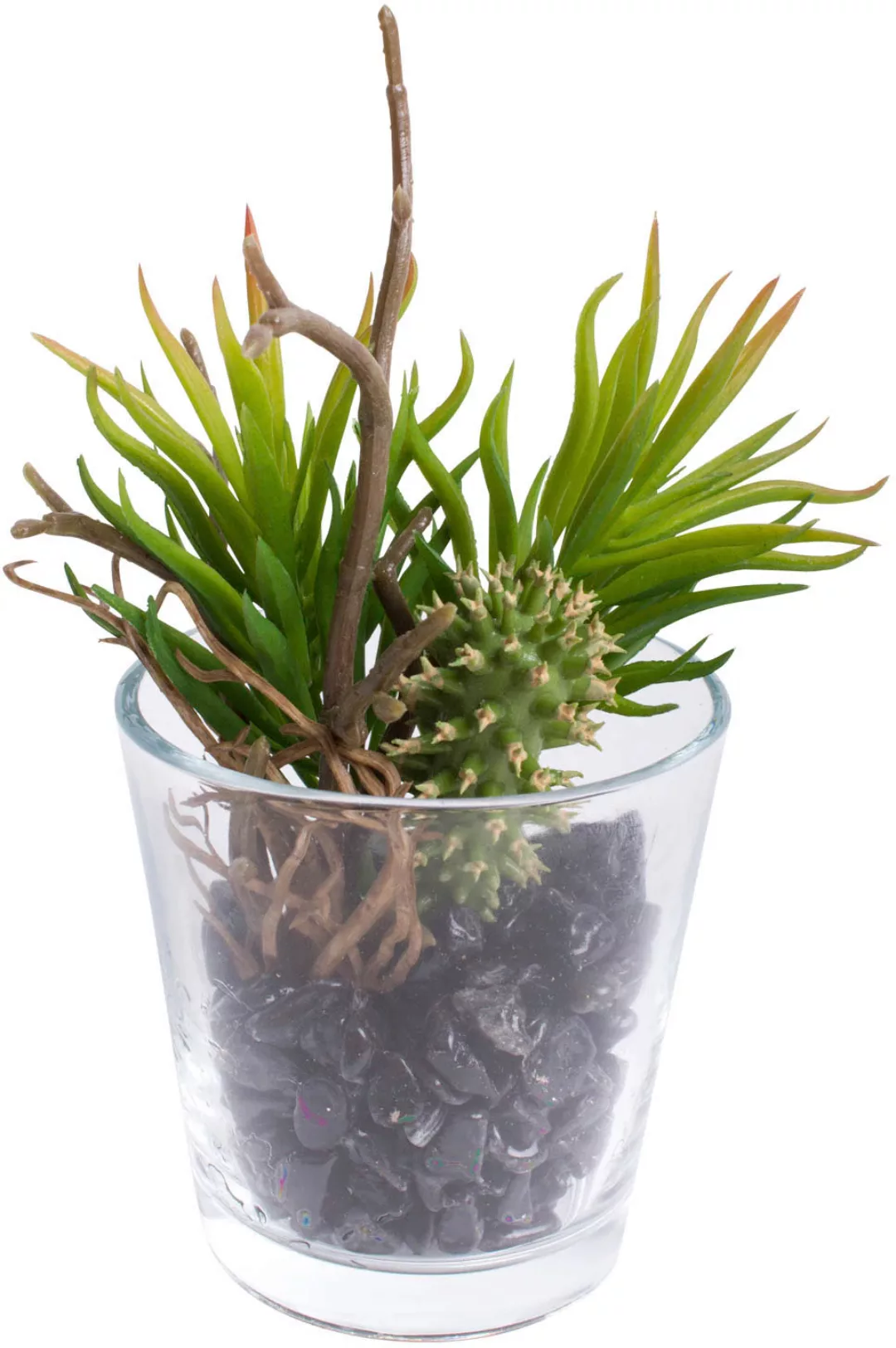 Botanic-Haus Künstliche Zimmerpflanze "Sukkulenten Arrangement im Glas" günstig online kaufen