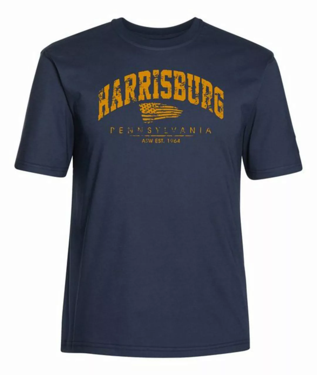 AHORN SPORTSWEAR T-Shirt HARRISBURG mit sportlichem Print günstig online kaufen